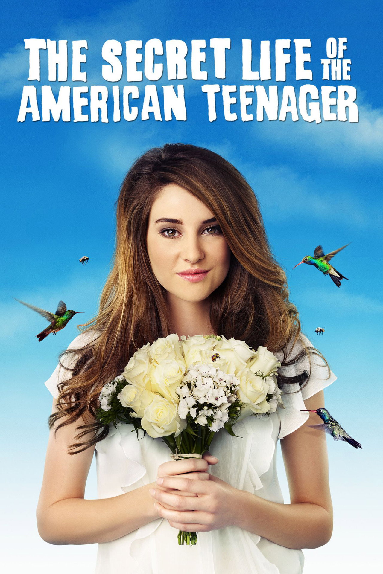 Pôster de The Secret Life of the American Teenager
