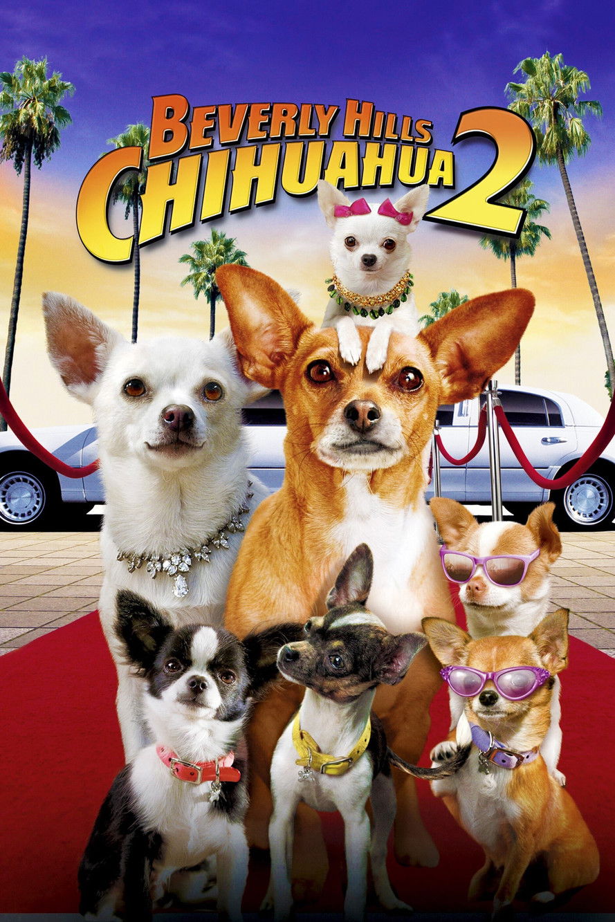Pôster de Beverly Hills Chihuahua 2