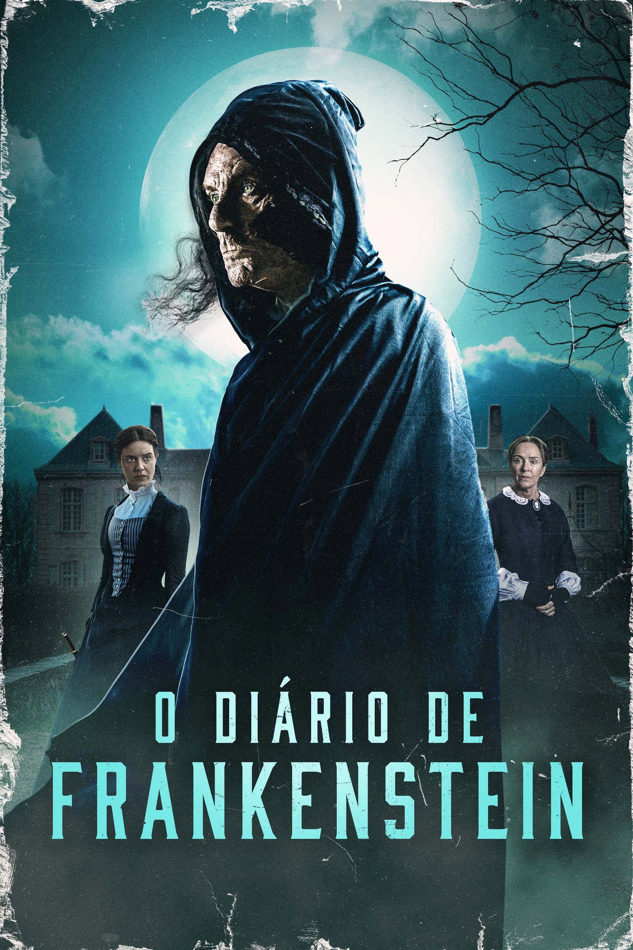 Pôster de O Diário de Frankenstein