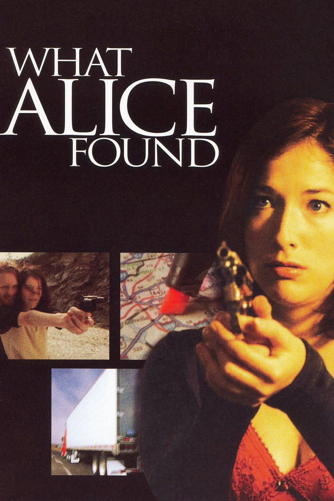 Pôster de What Alice Found