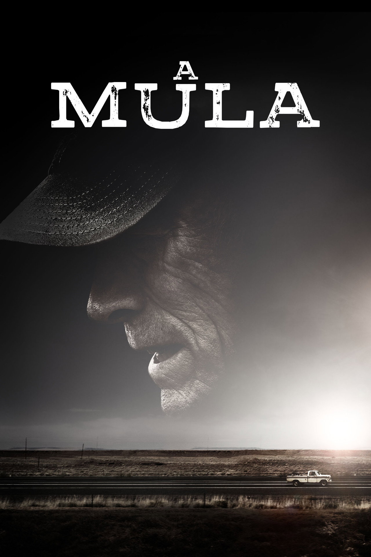 Pôster de A Mula