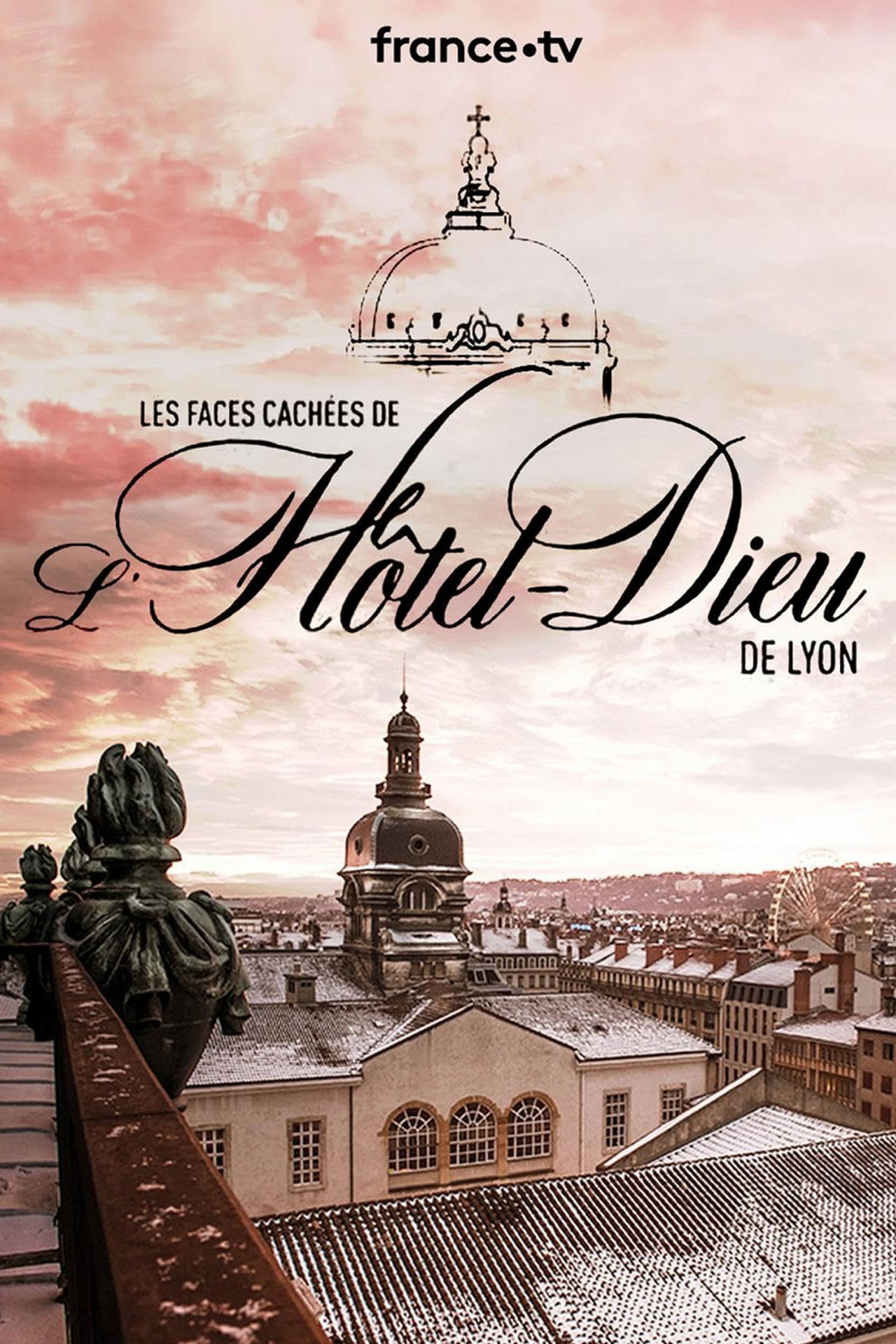 Pôster de Les Faces Cachées de l'Hôtel Dieu de Lyon