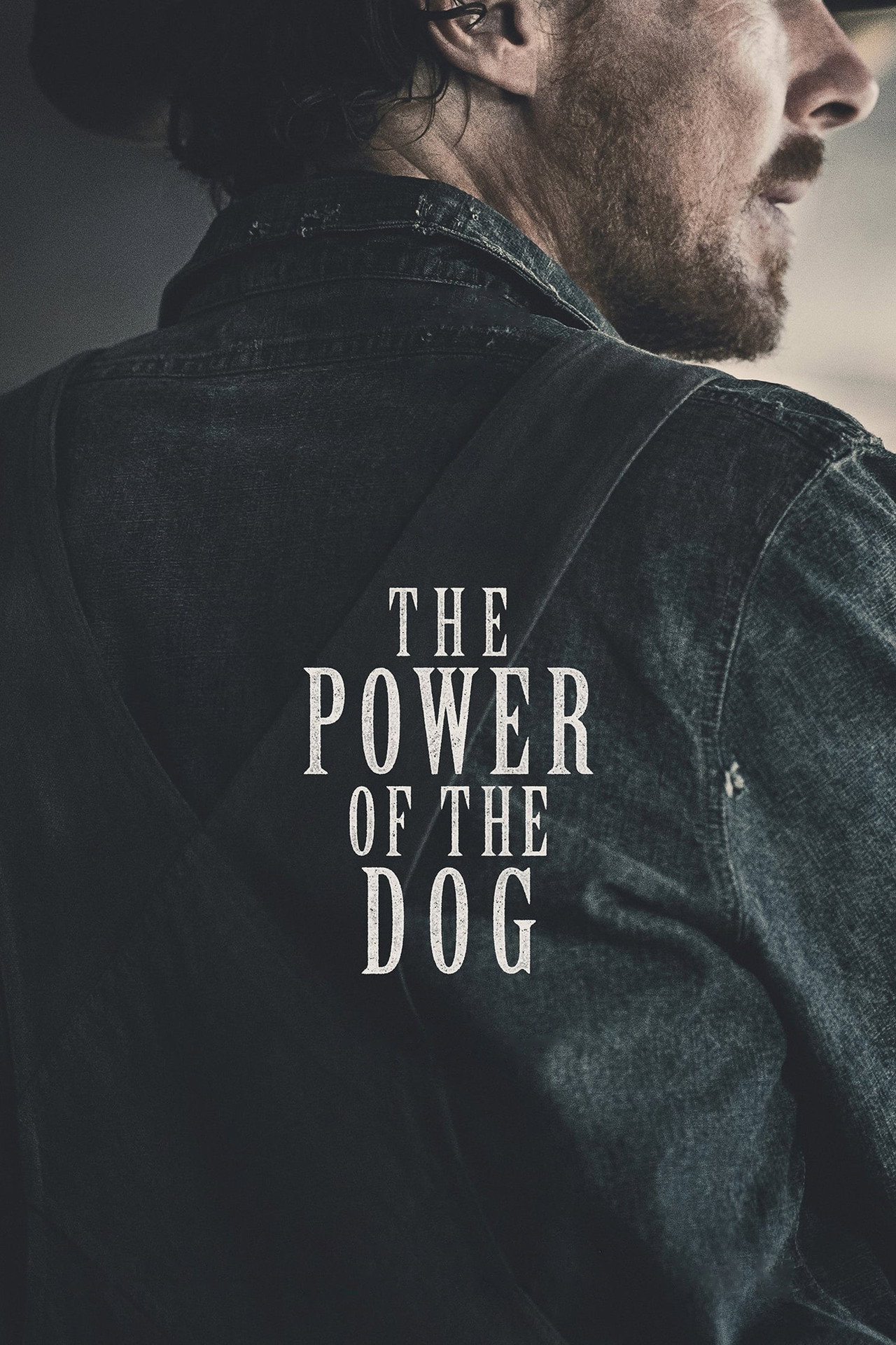 Pôster de The Power of the Dog