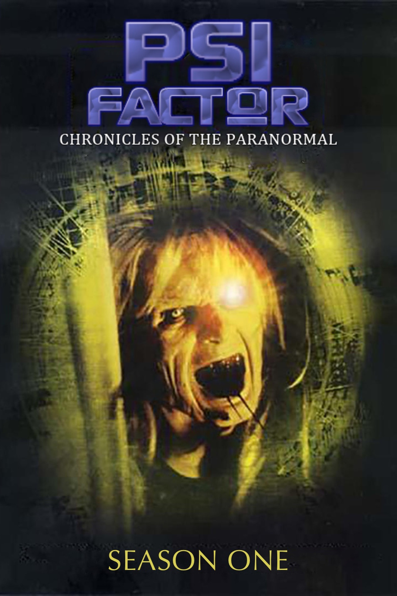 Pôster de Psi Factor: Chronicles of the Paranormal