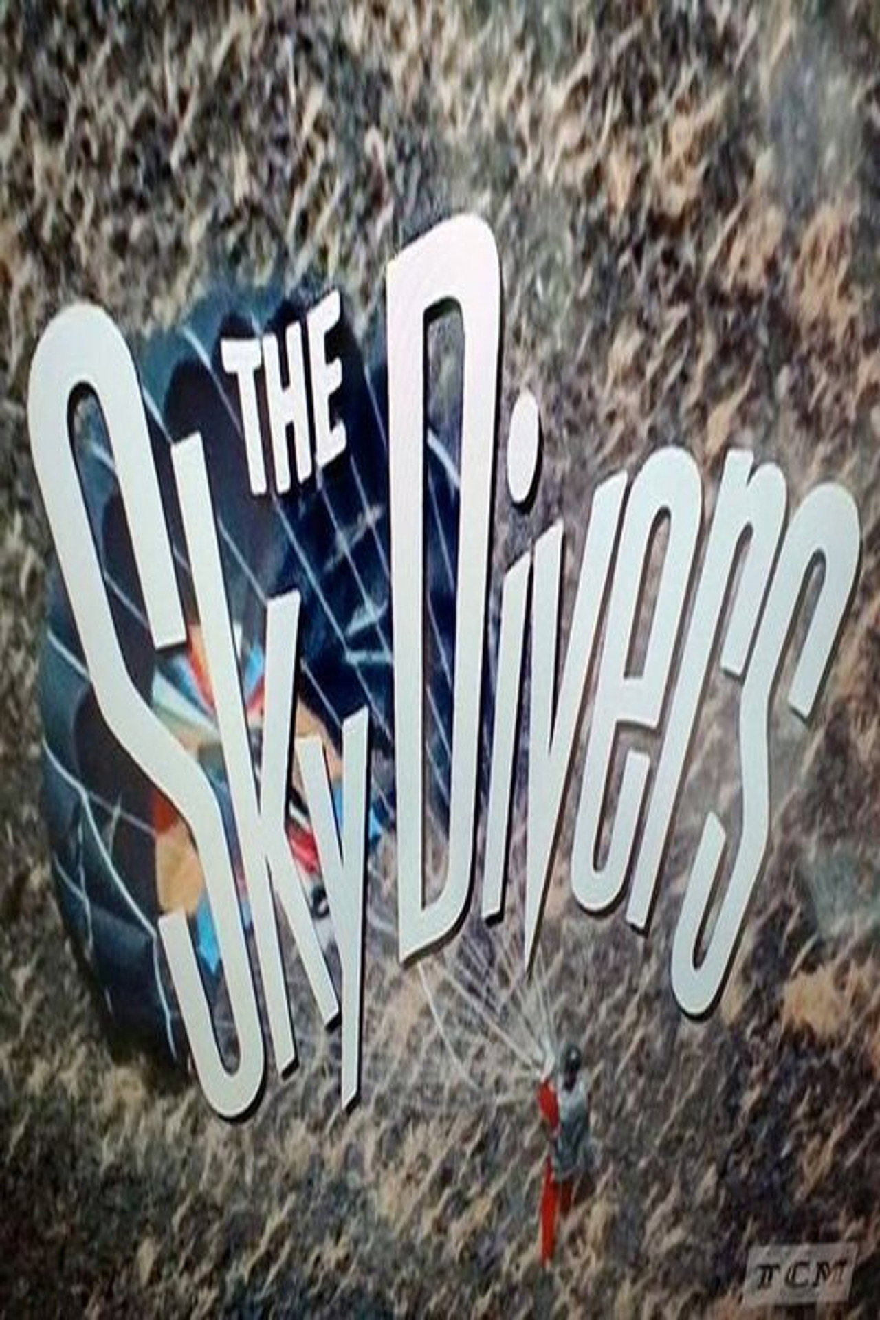 Pôster de The Sky Divers