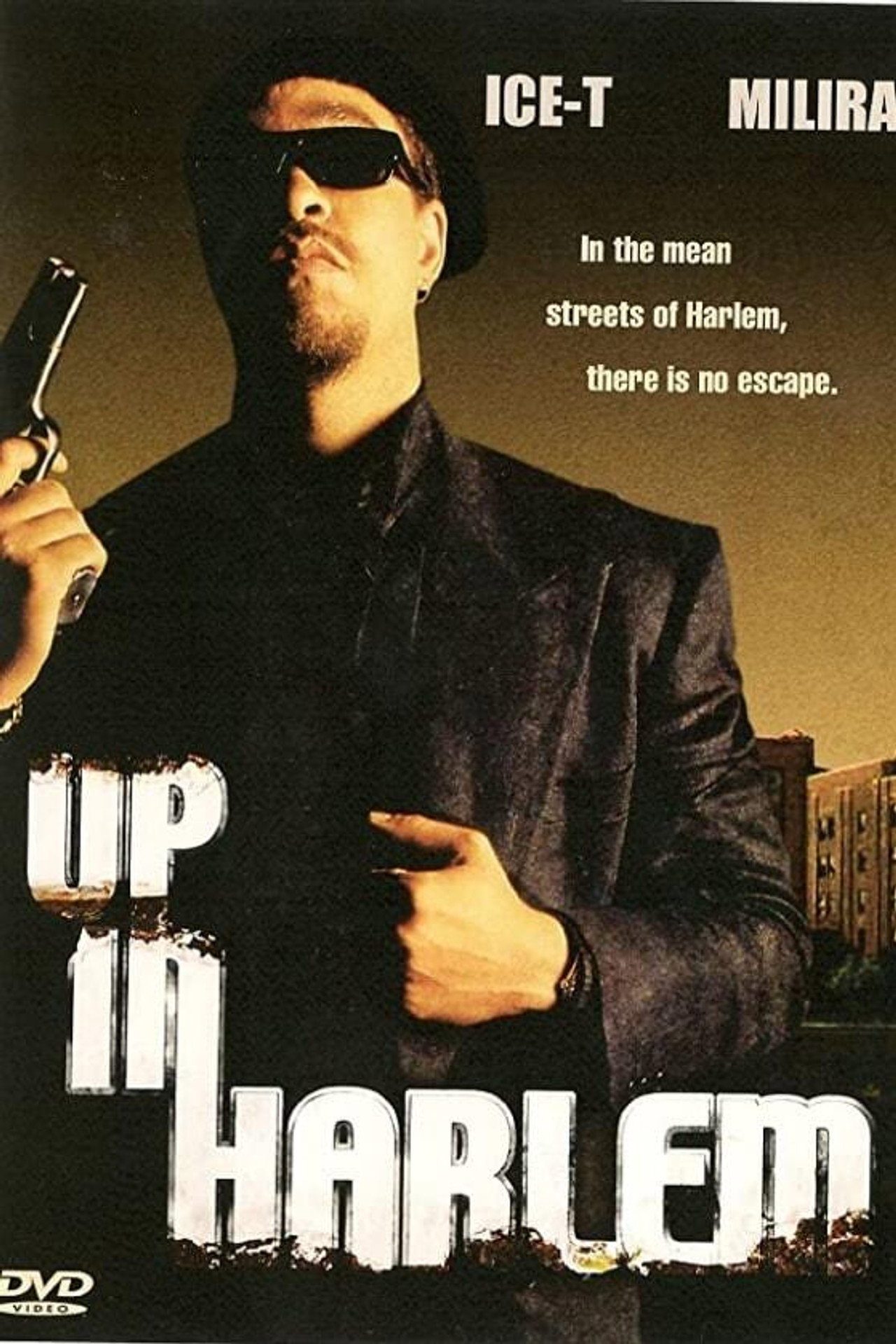 Pôster de Up in Harlem