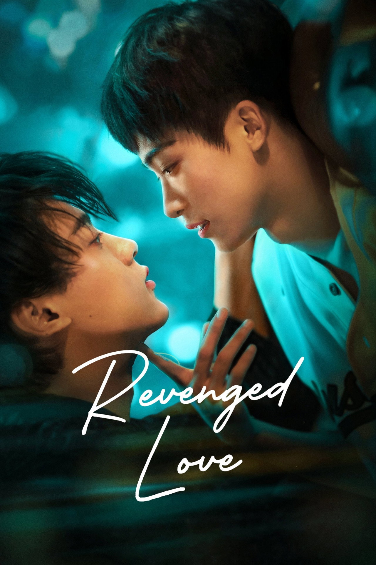 Pôster de Revenged Love
