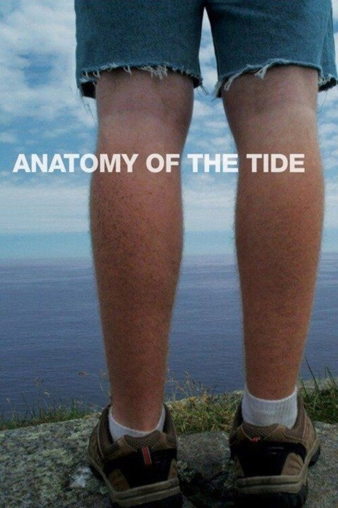Pôster de Anatomy of the Tide