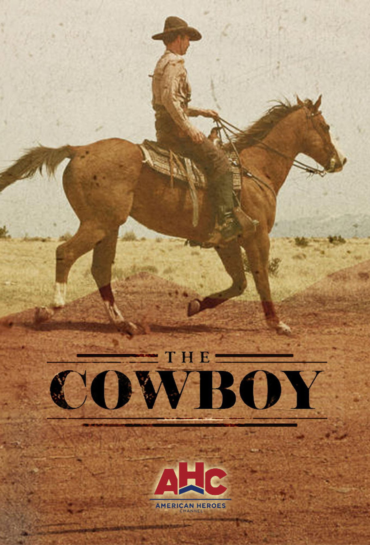 Pôster de The Cowboy