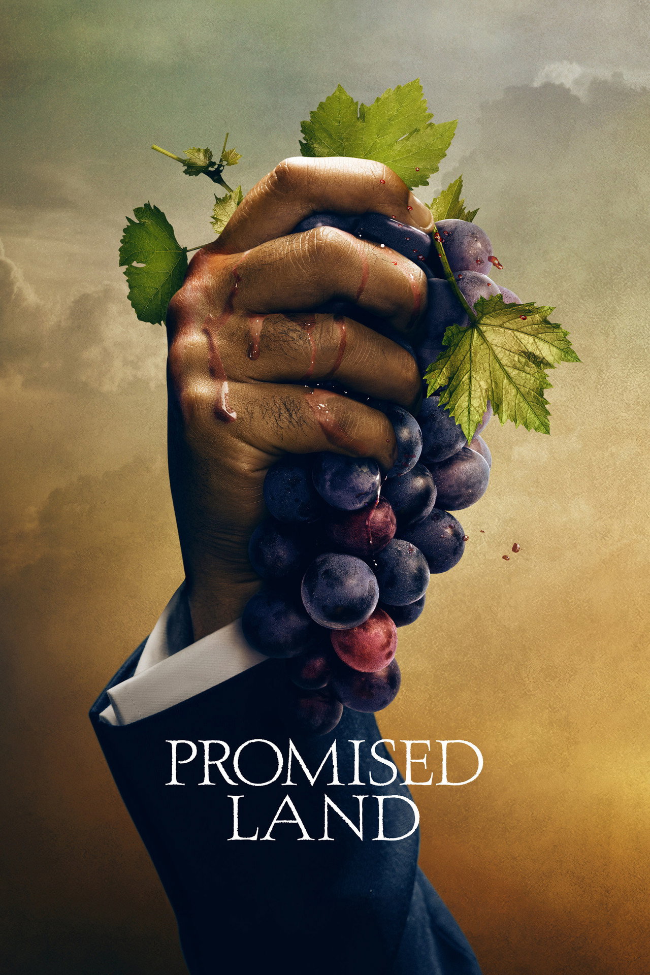 Pôster de Promised Land