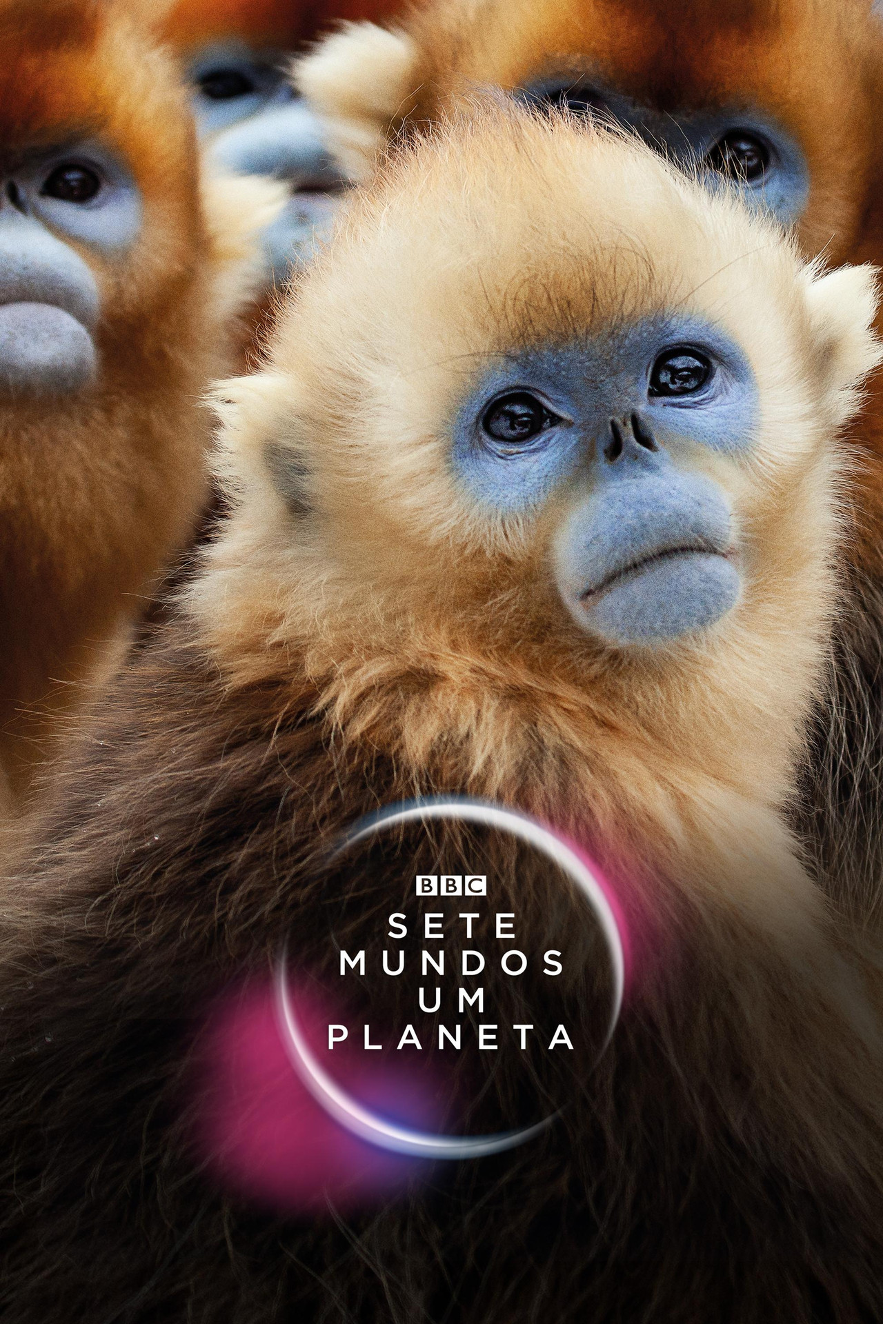 Pôster de Sete Mundos, um Planeta