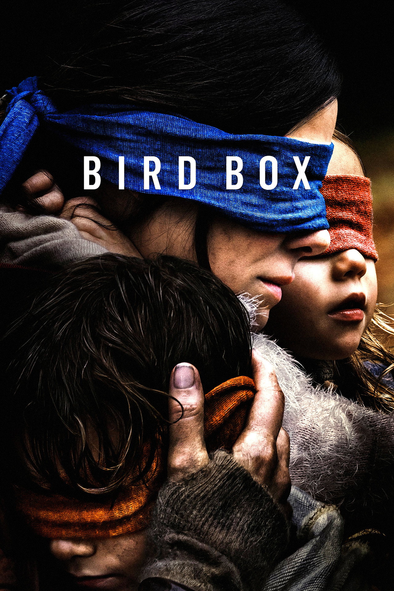 Pôster de Bird Box