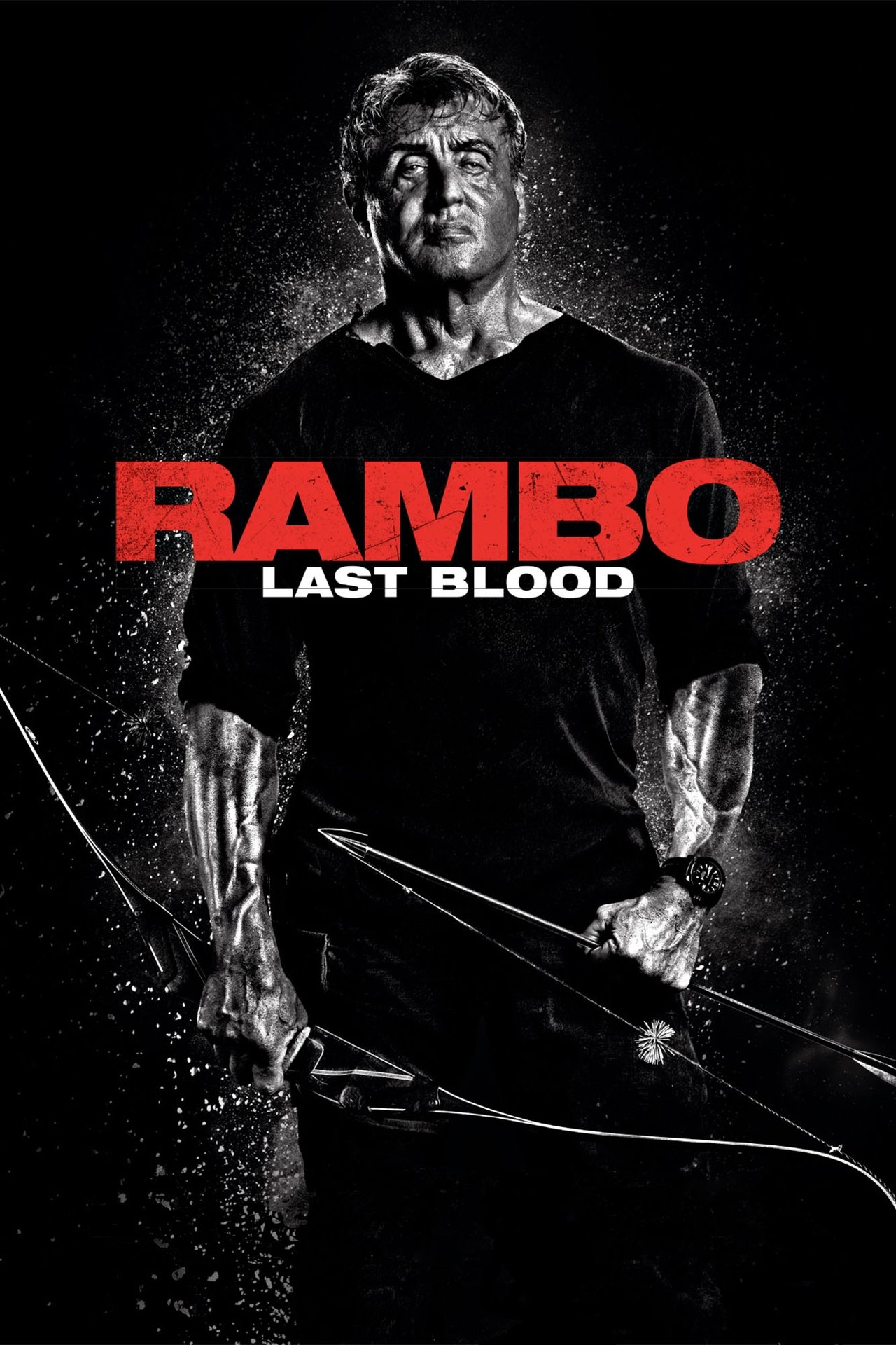 Pôster de Rambo: Last Blood