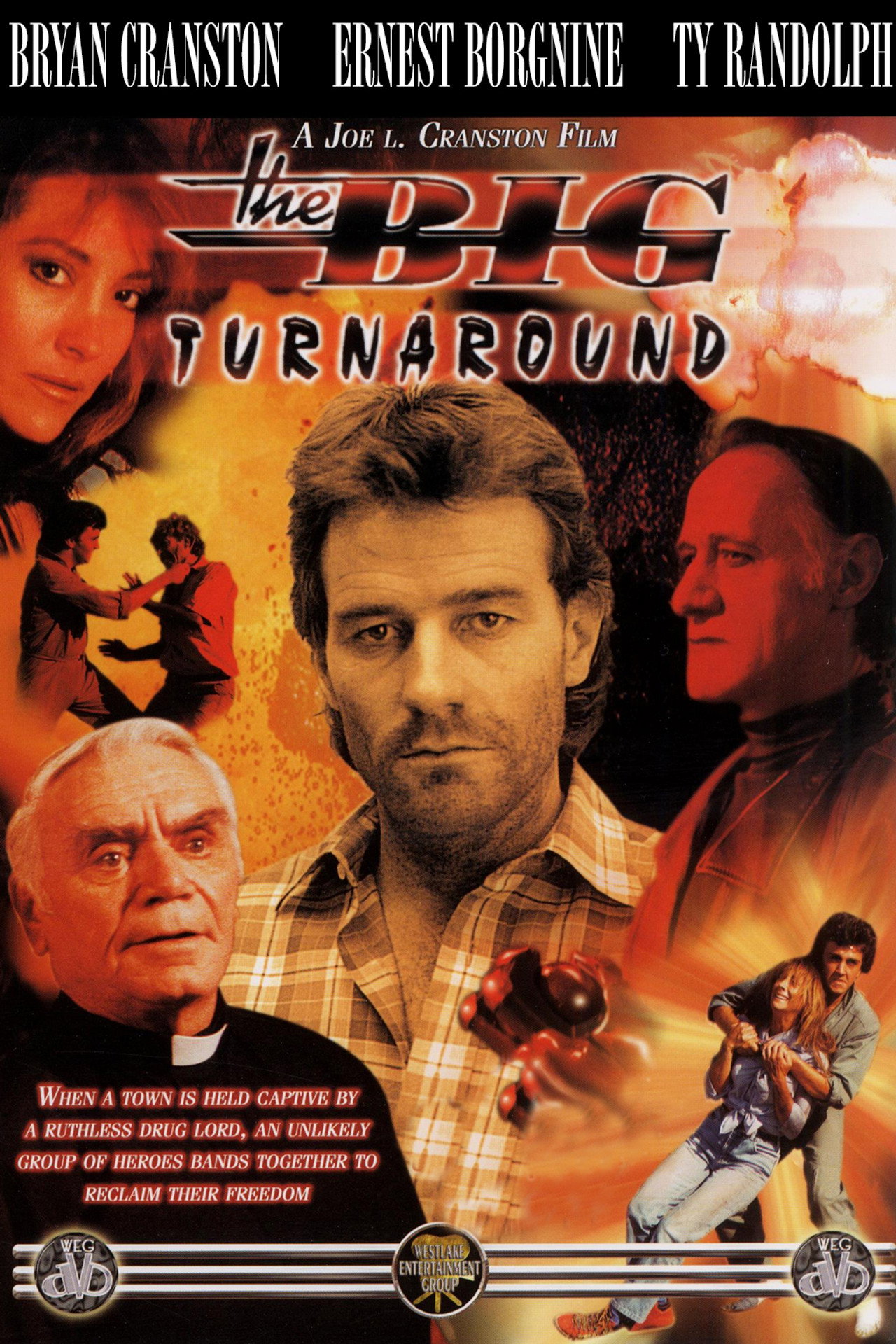Pôster de The Big Turnaround