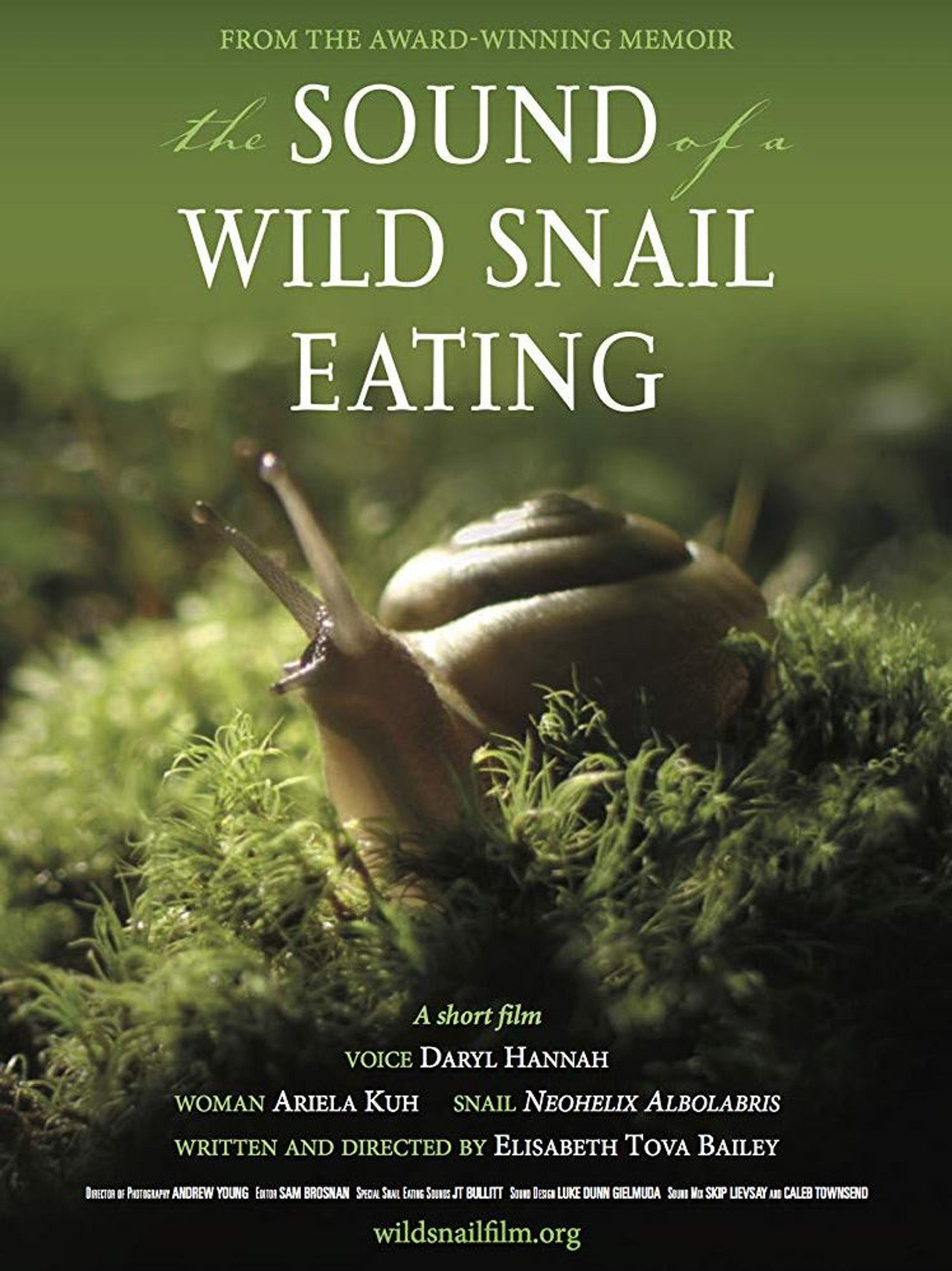 Pôster de The Sound of a Wild Snail Eating