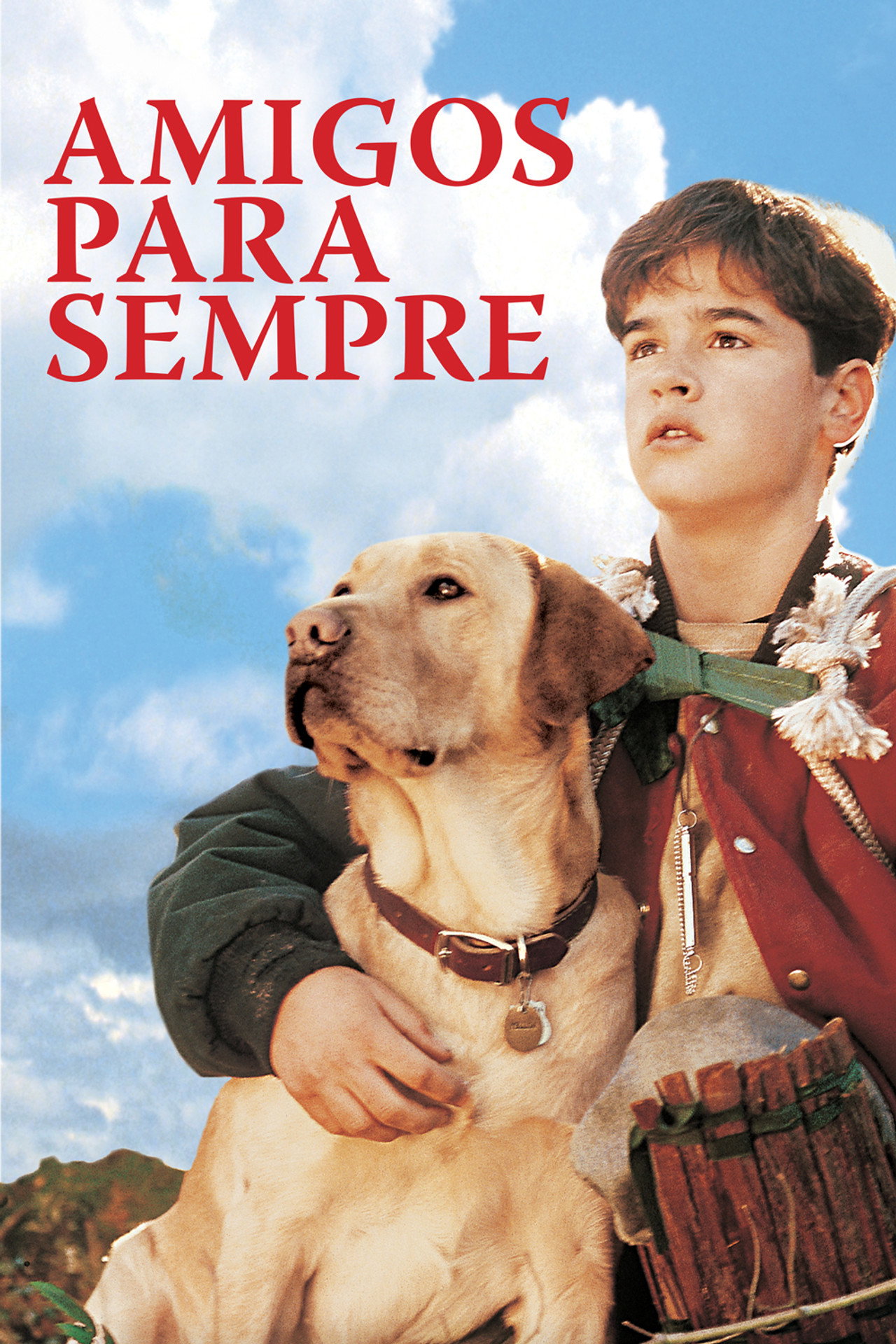 Pôster de Amigos para Sempre