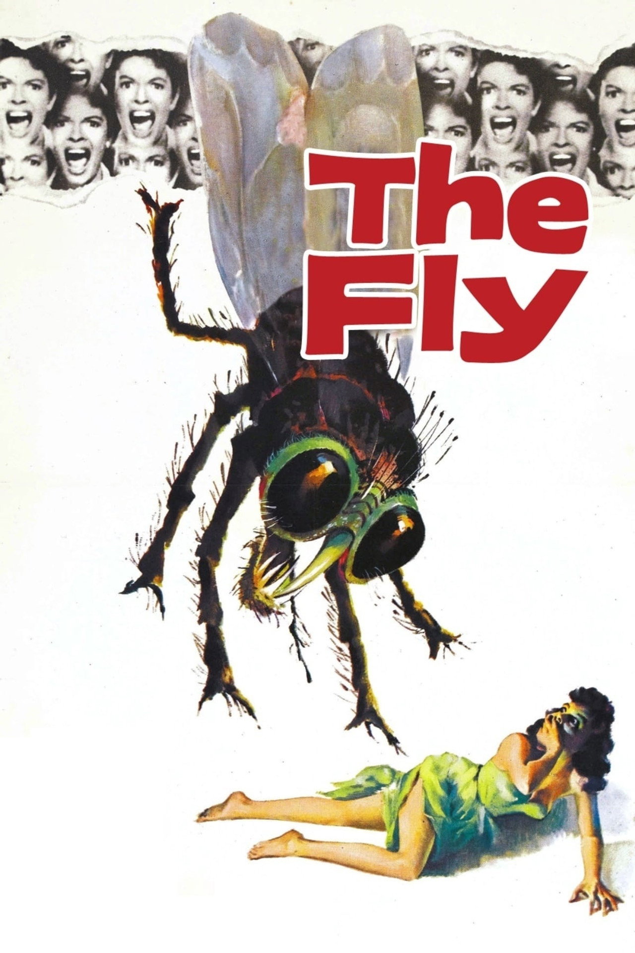 Pôster de The Fly
