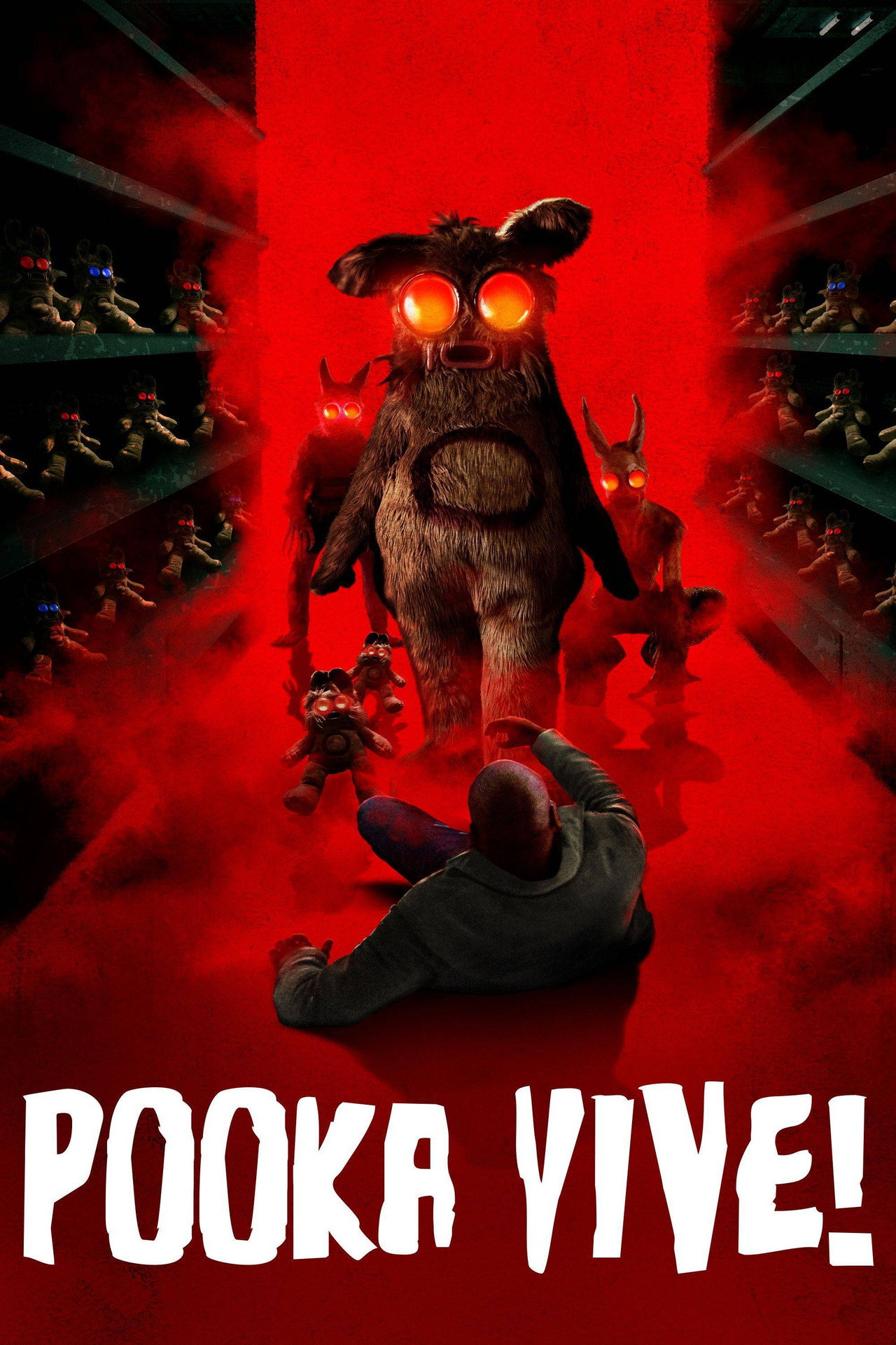 Pôster de Pooka Vive