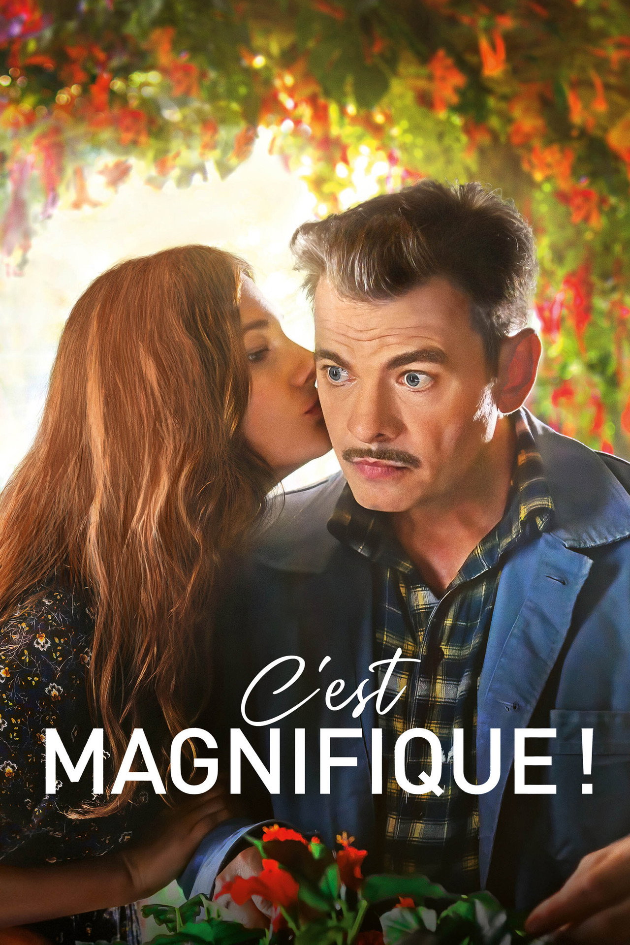 Pôster de C'est magnifique !