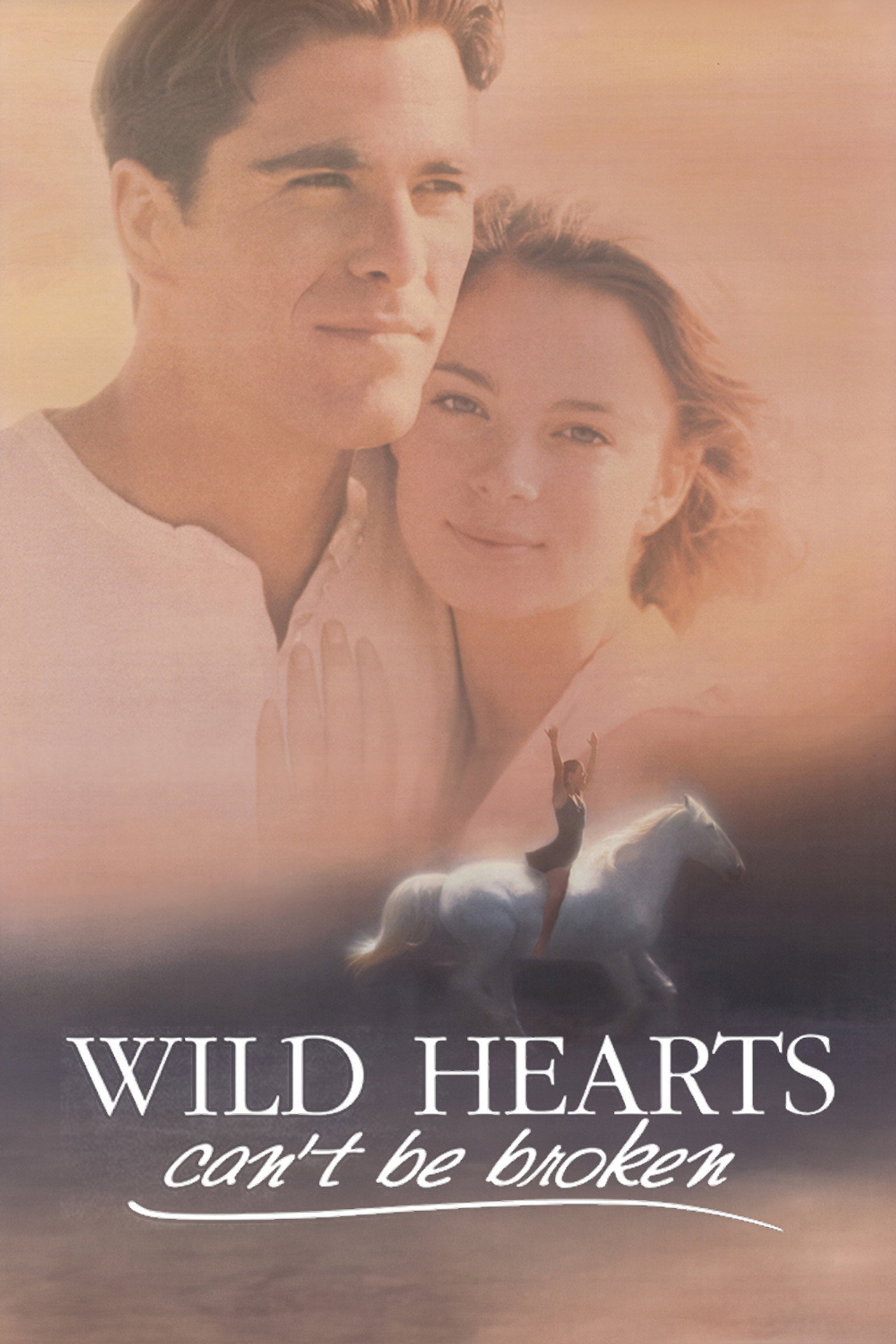Pôster de Wild Hearts Can't Be Broken