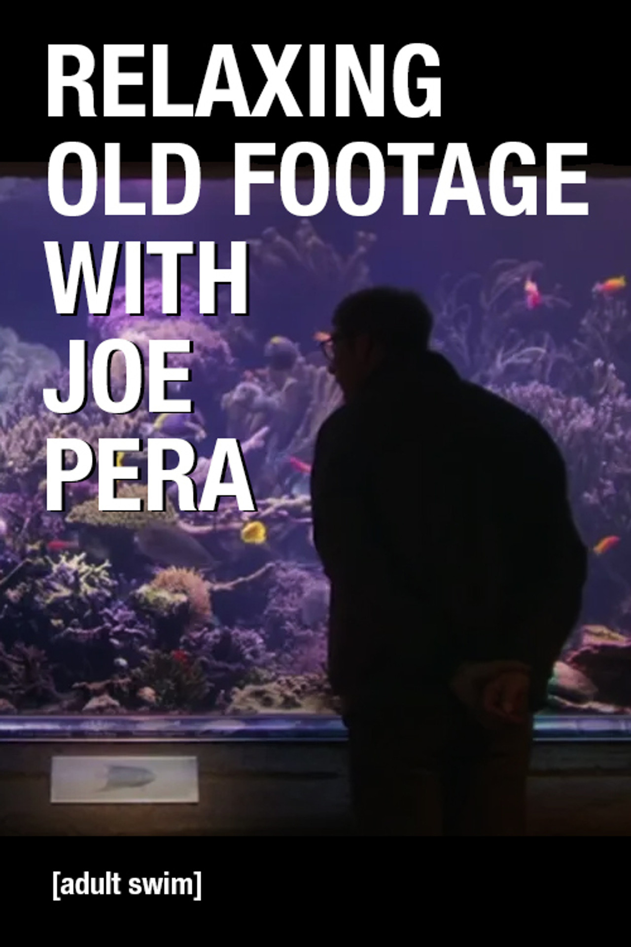 Pôster de Relaxing Old Footage With Joe Pera