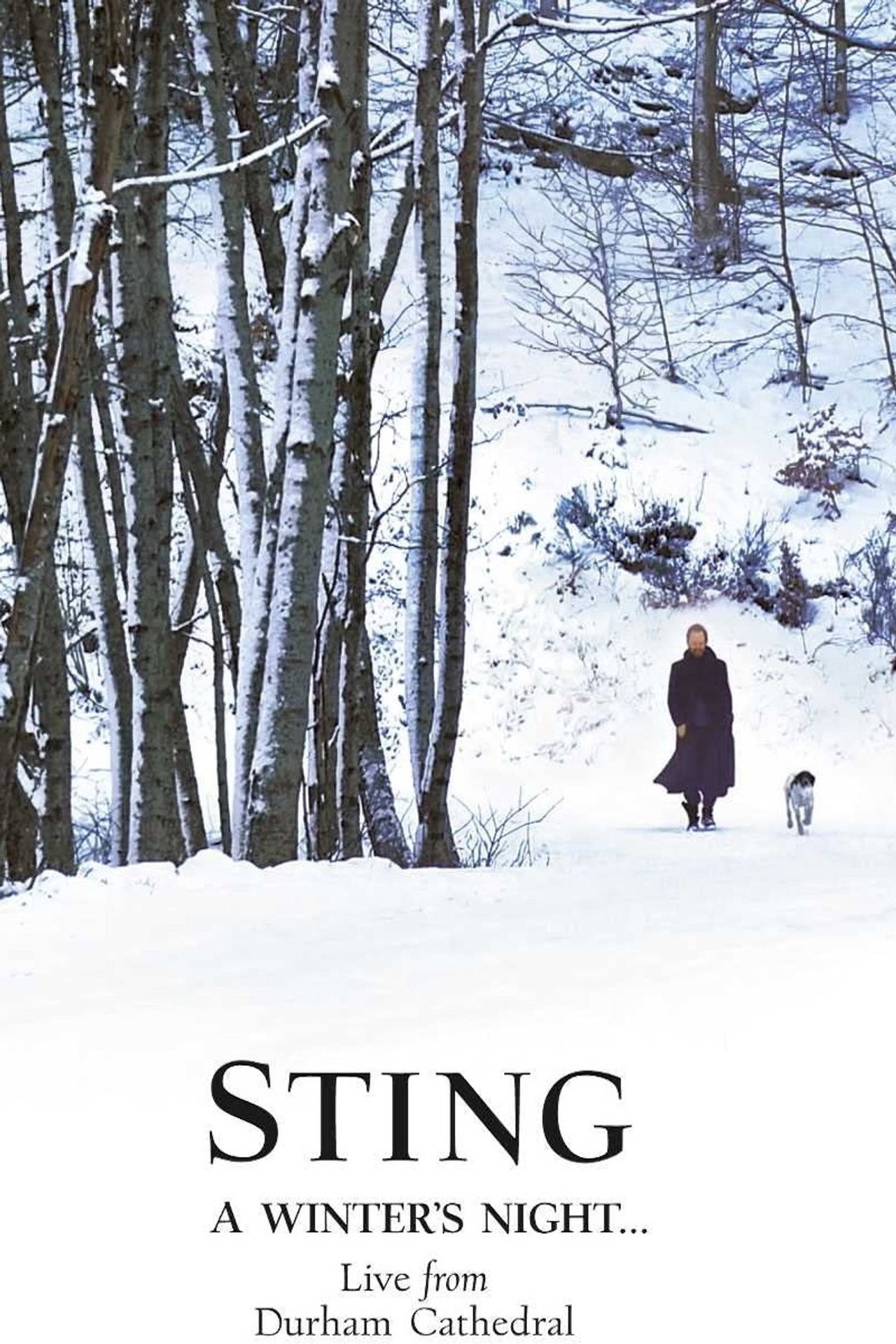 Pôster de Sting: A Winter's Night...Live From Durham Cathedral
