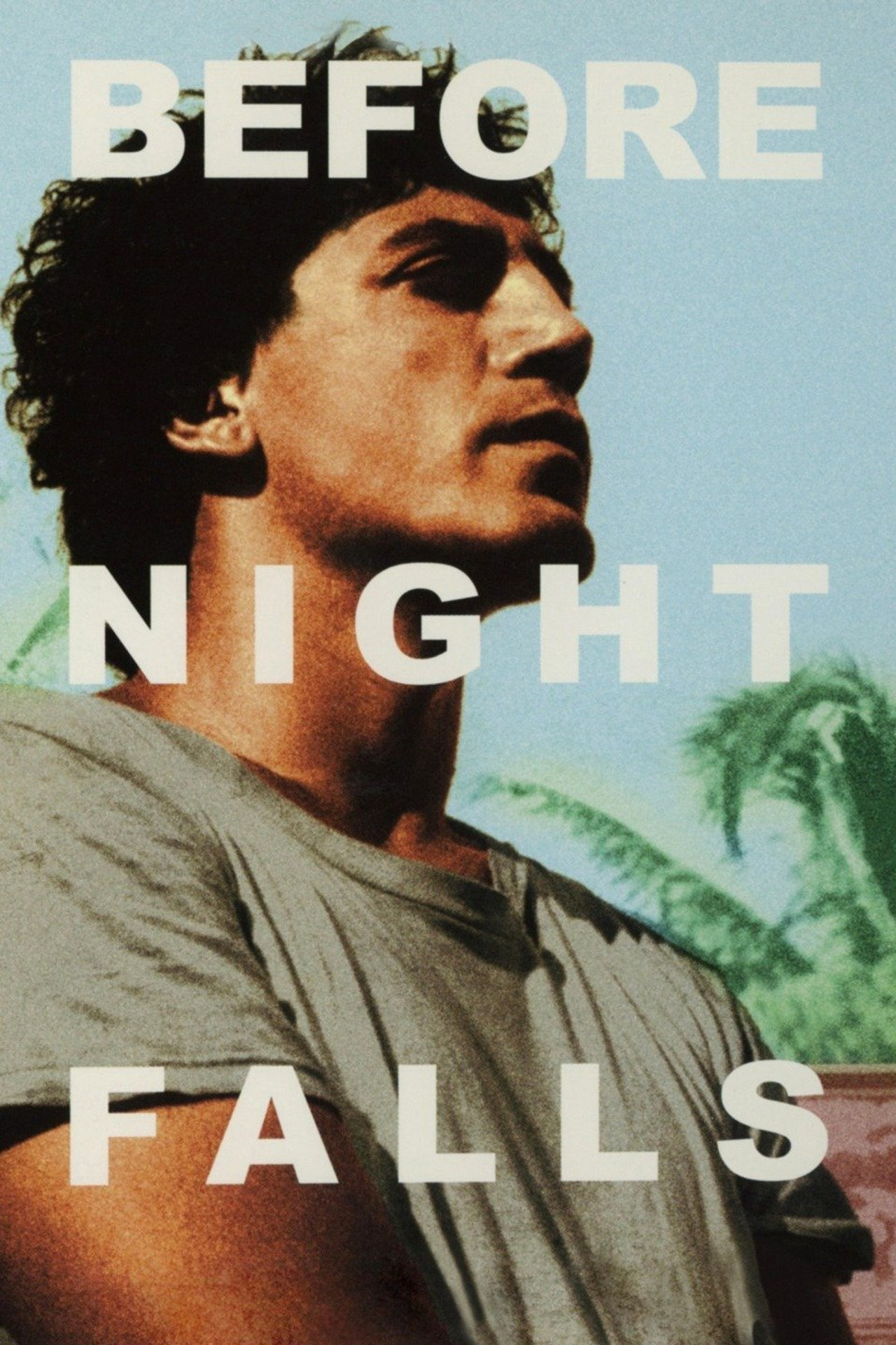 Pôster de Before Night Falls