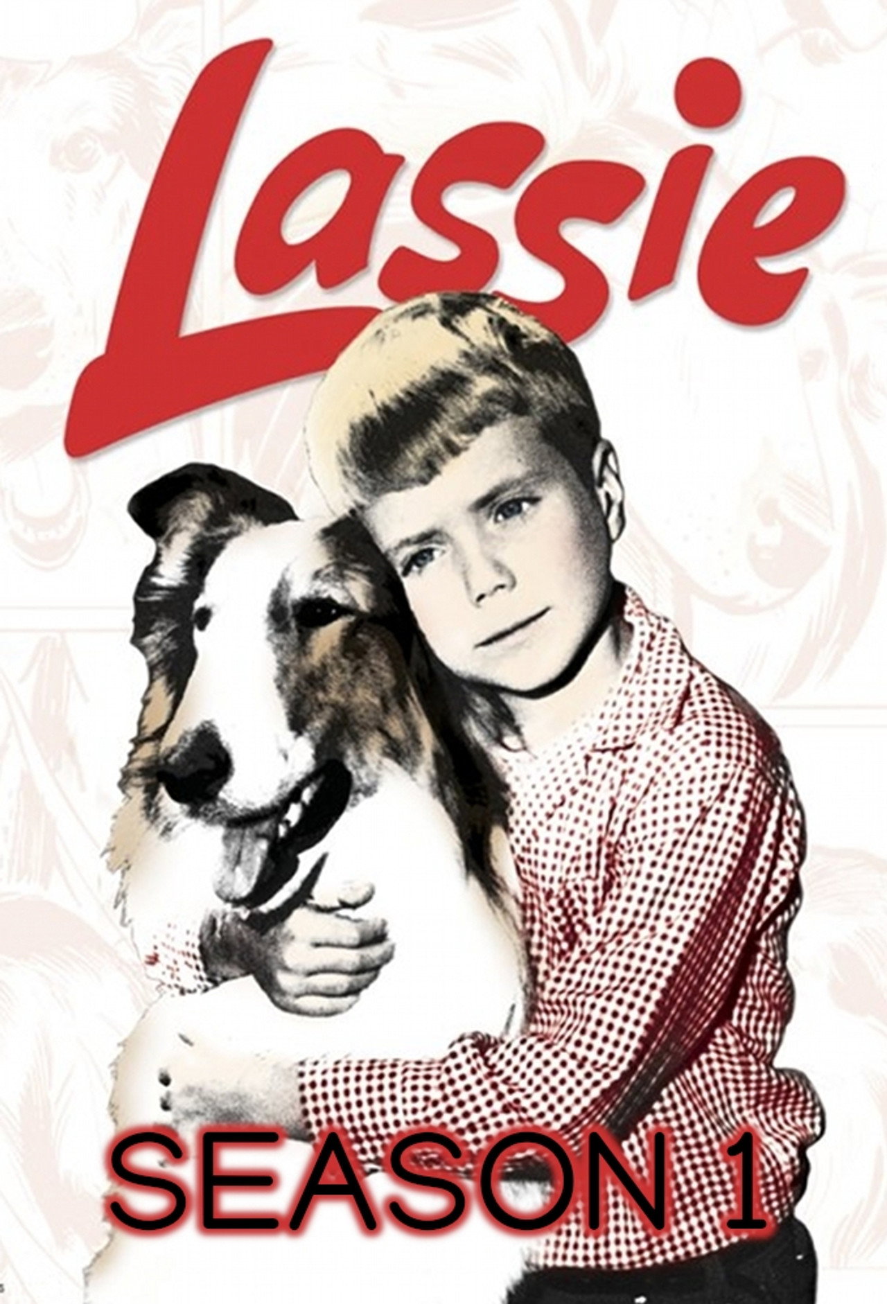 Pôster de Lassie