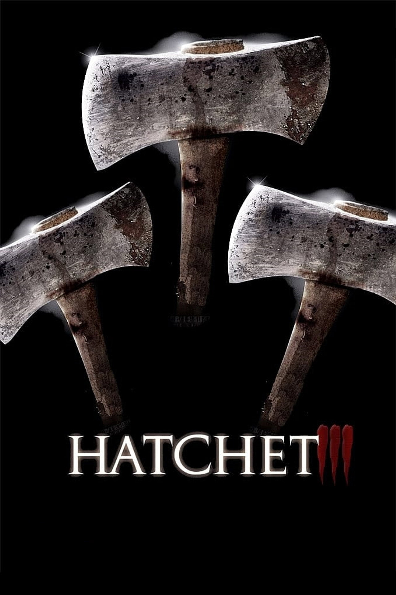 Pôster de Hatchet III