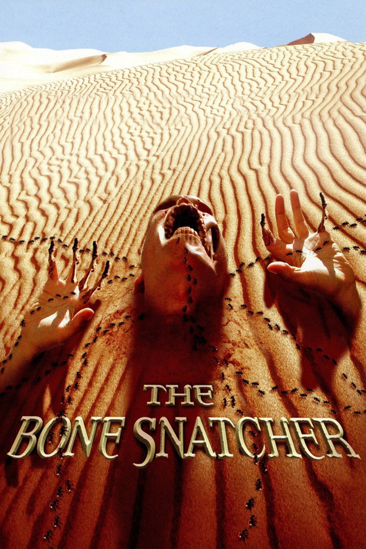 Pôster de The Bone Snatcher