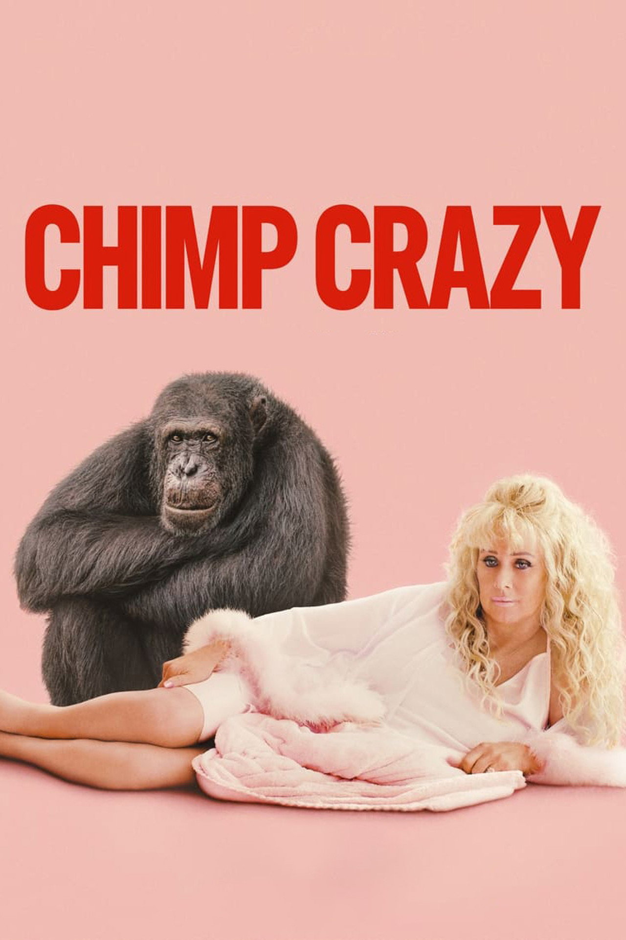 Pôster de Chimp Crazy