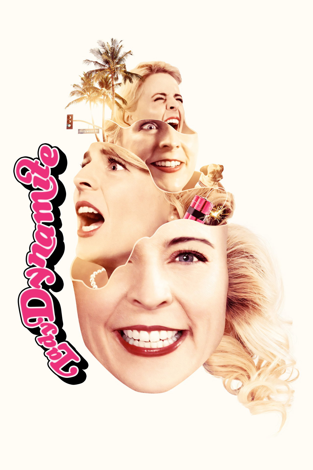 Pôster de Lady Dynamite