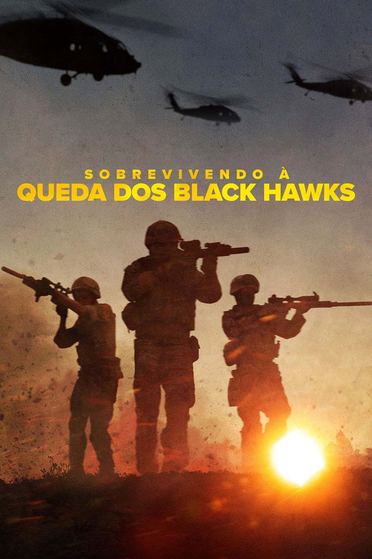 Pôster de Sobrevivendo à Queda dos Black Hawks