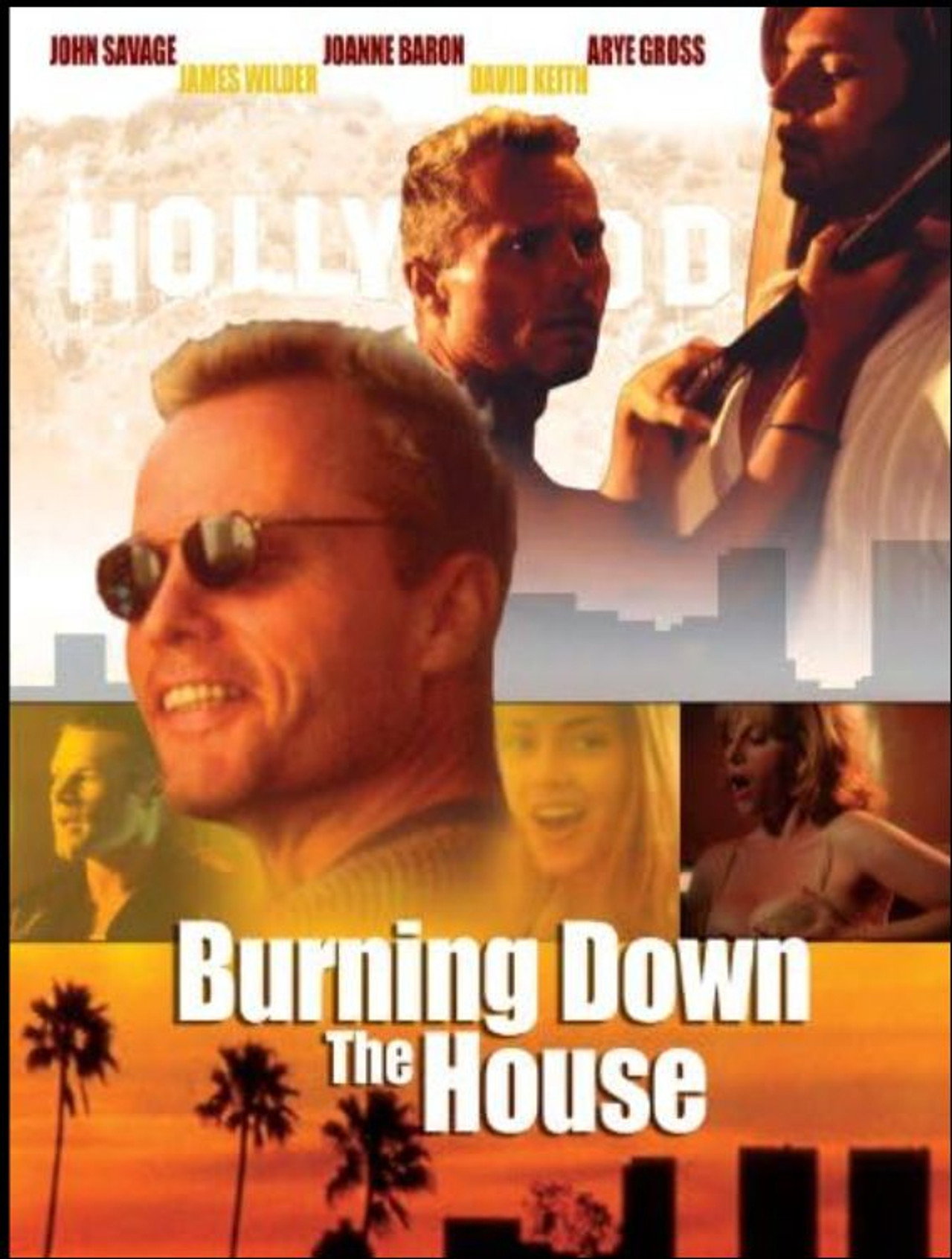 Pôster de Burning Down the House