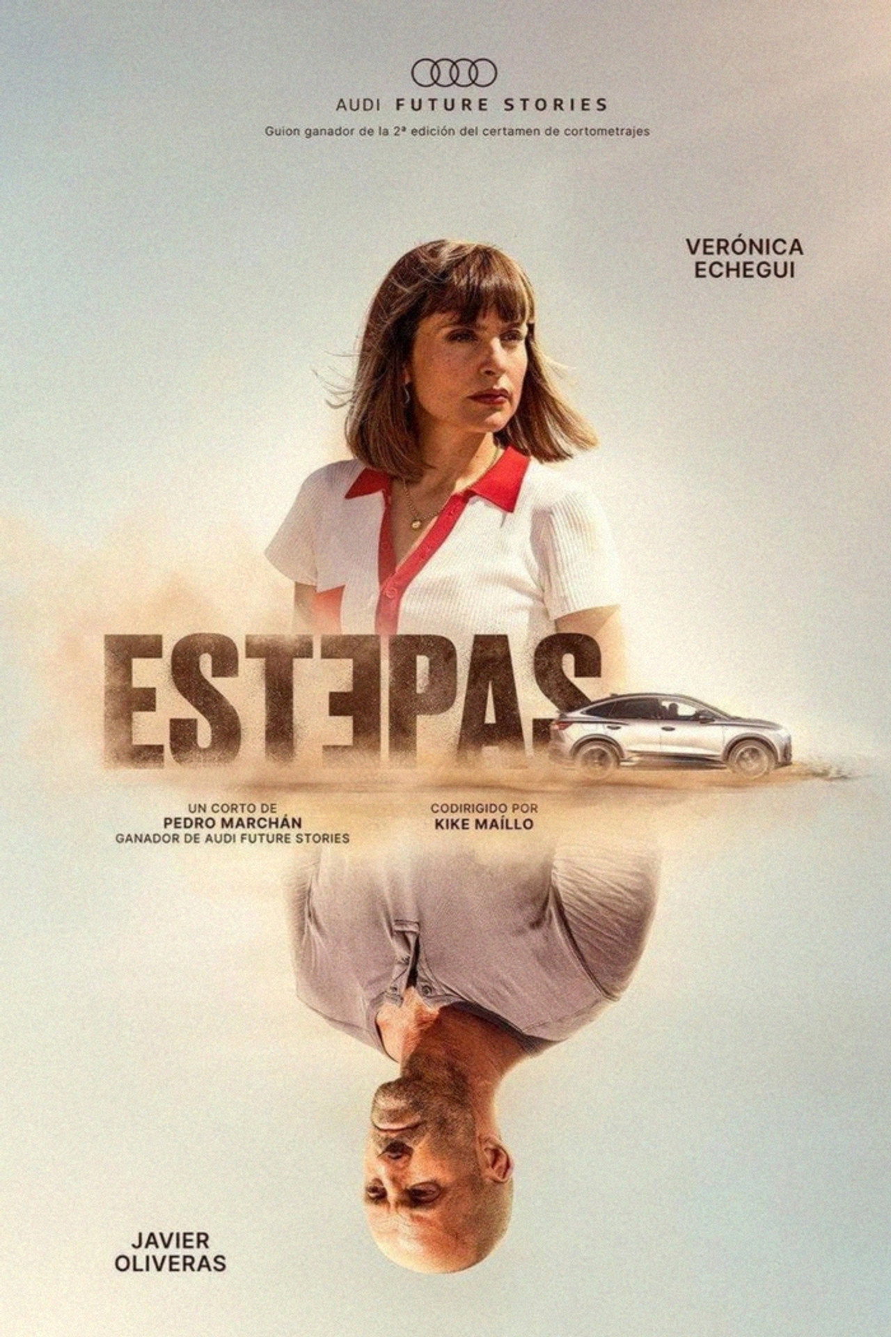 Pôster de Estepas