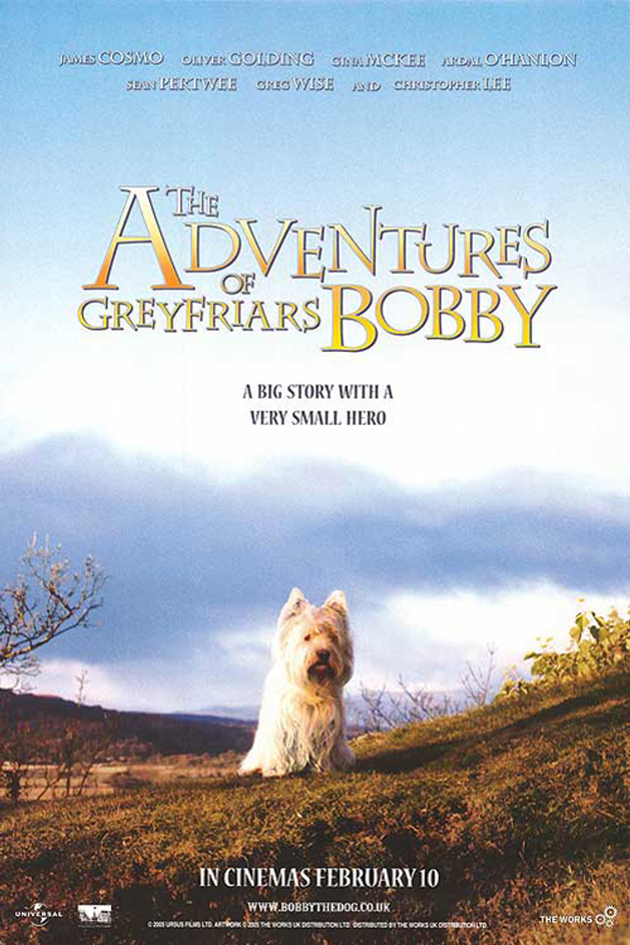 Pôster de As Aventuras de Bobby