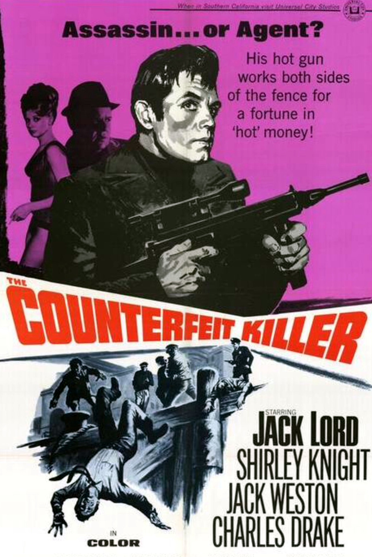 Pôster de The Counterfeit Killer