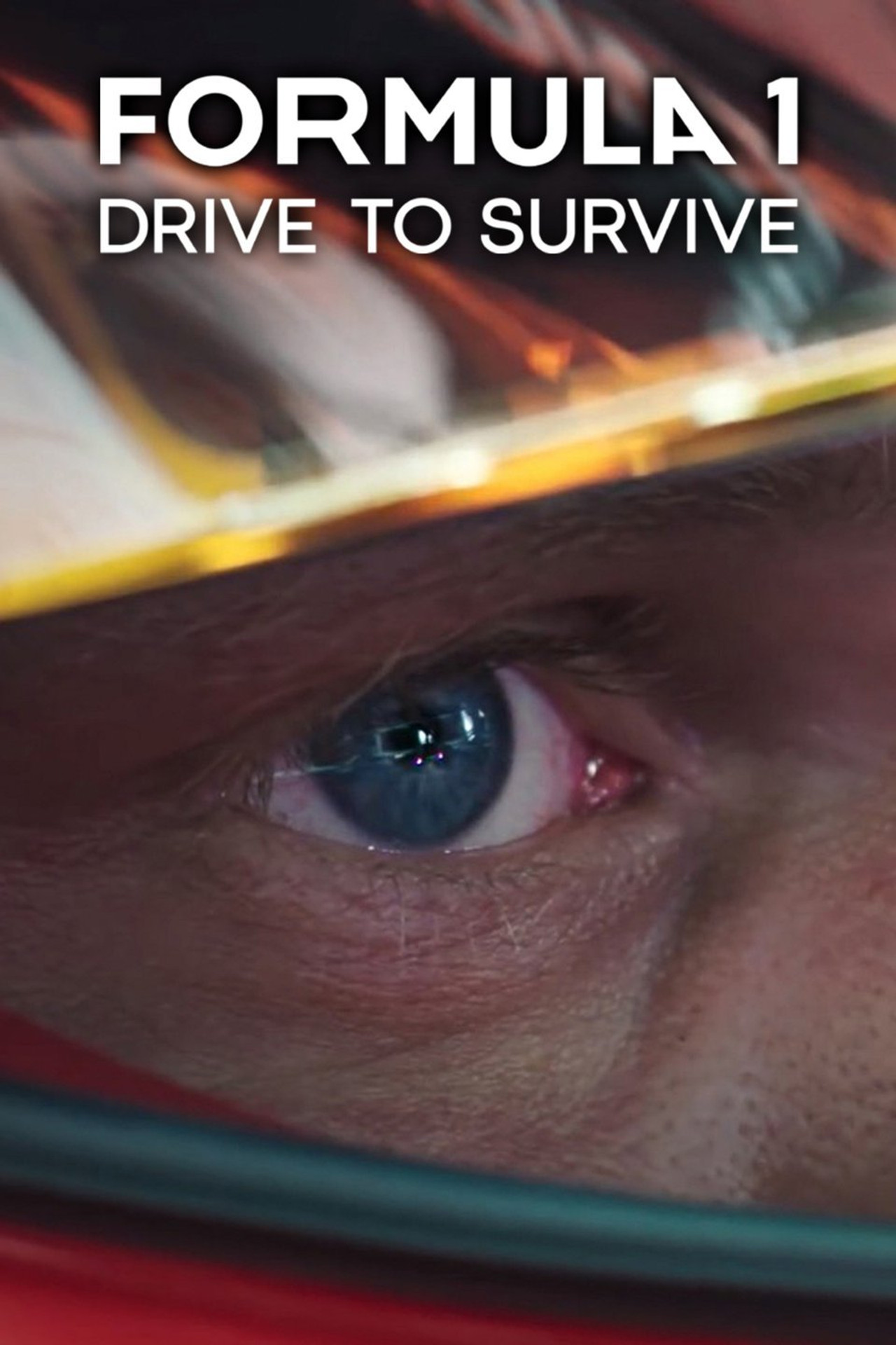 Pôster de F1: Dirigir para Viver
