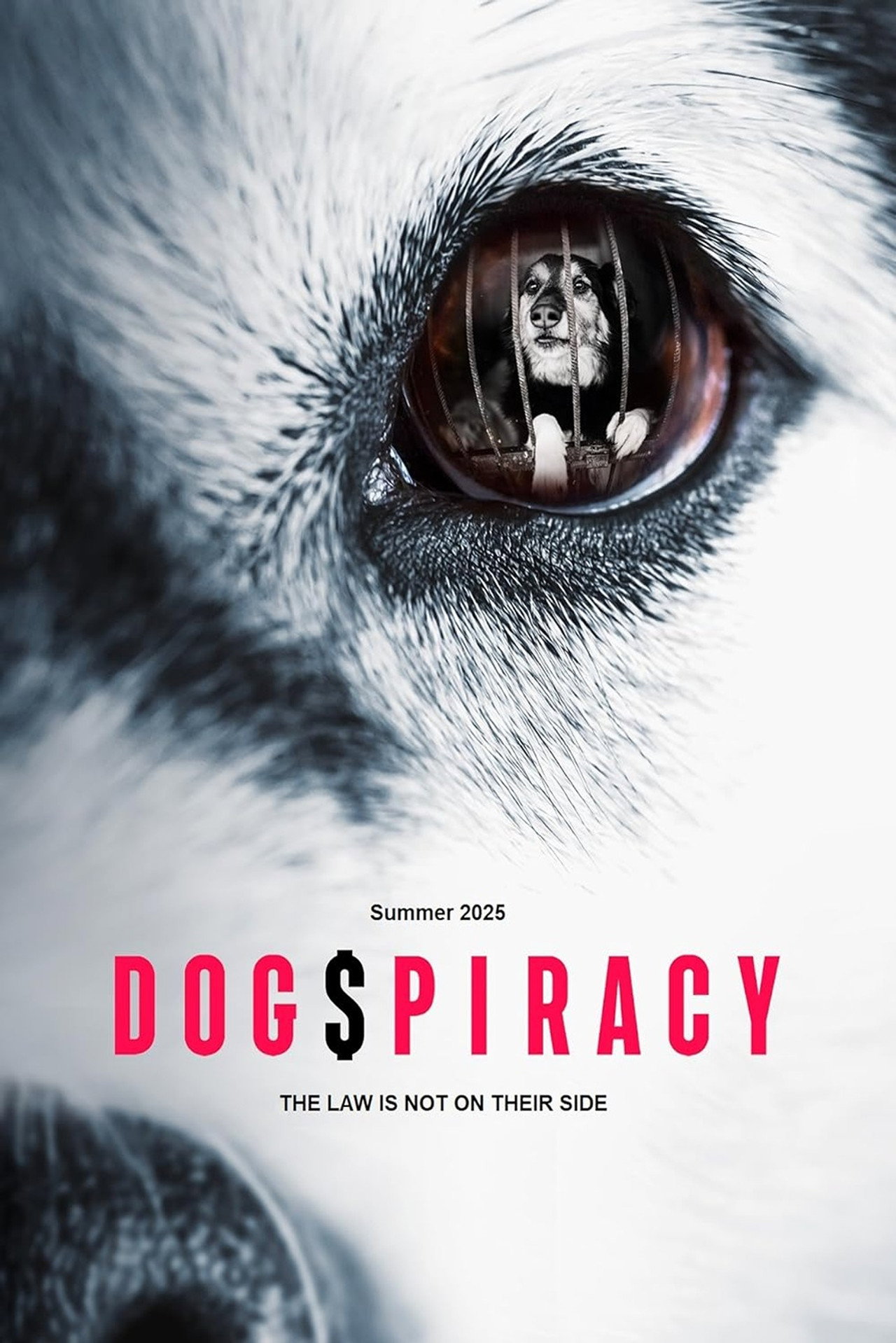 Pôster de Dogspiracy