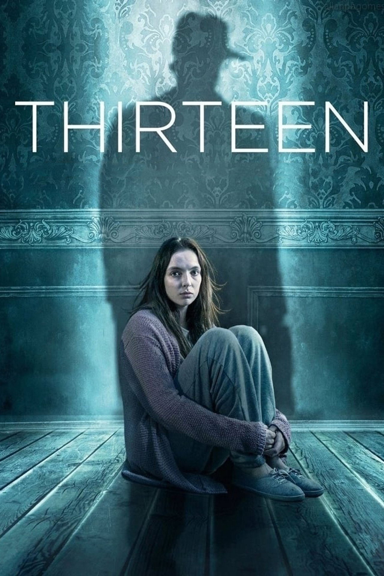 Pôster de Thirteen