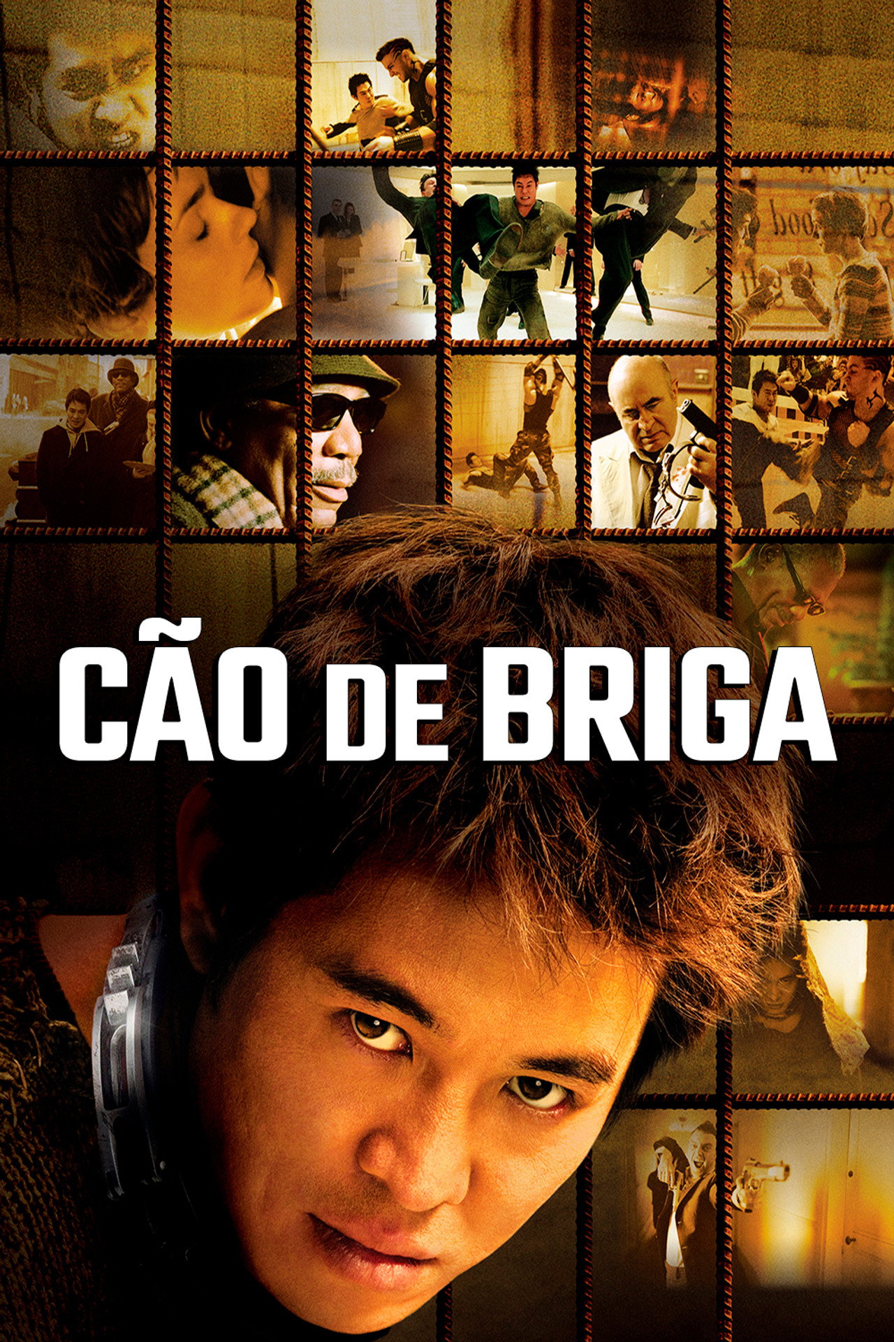 Pôster de Cão de Briga