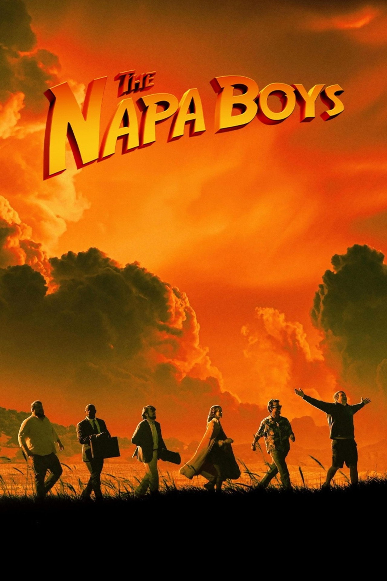 Pôster de The Napa Boys