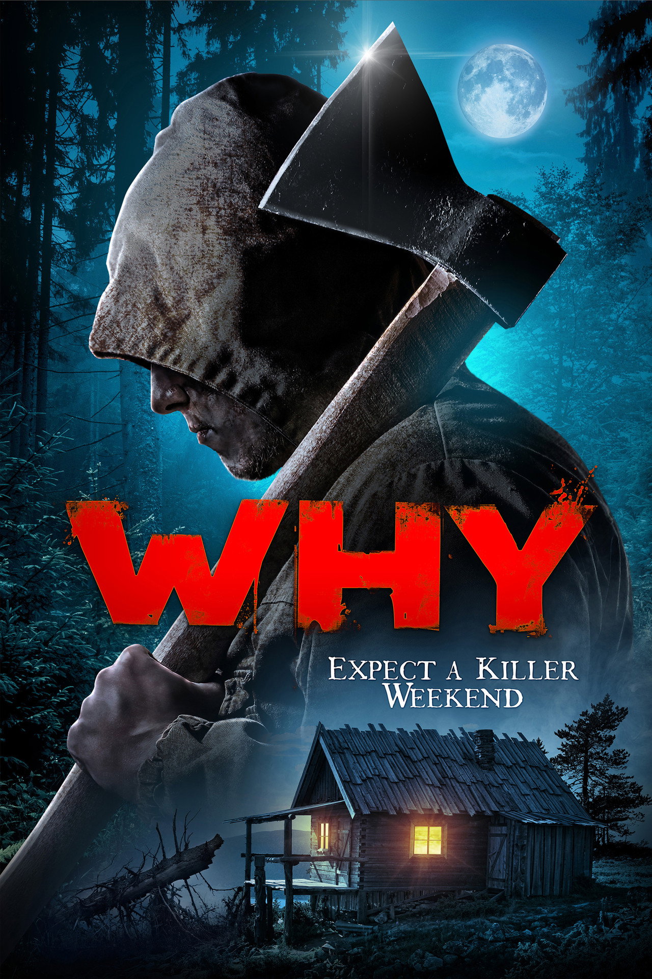 Pôster de Why?