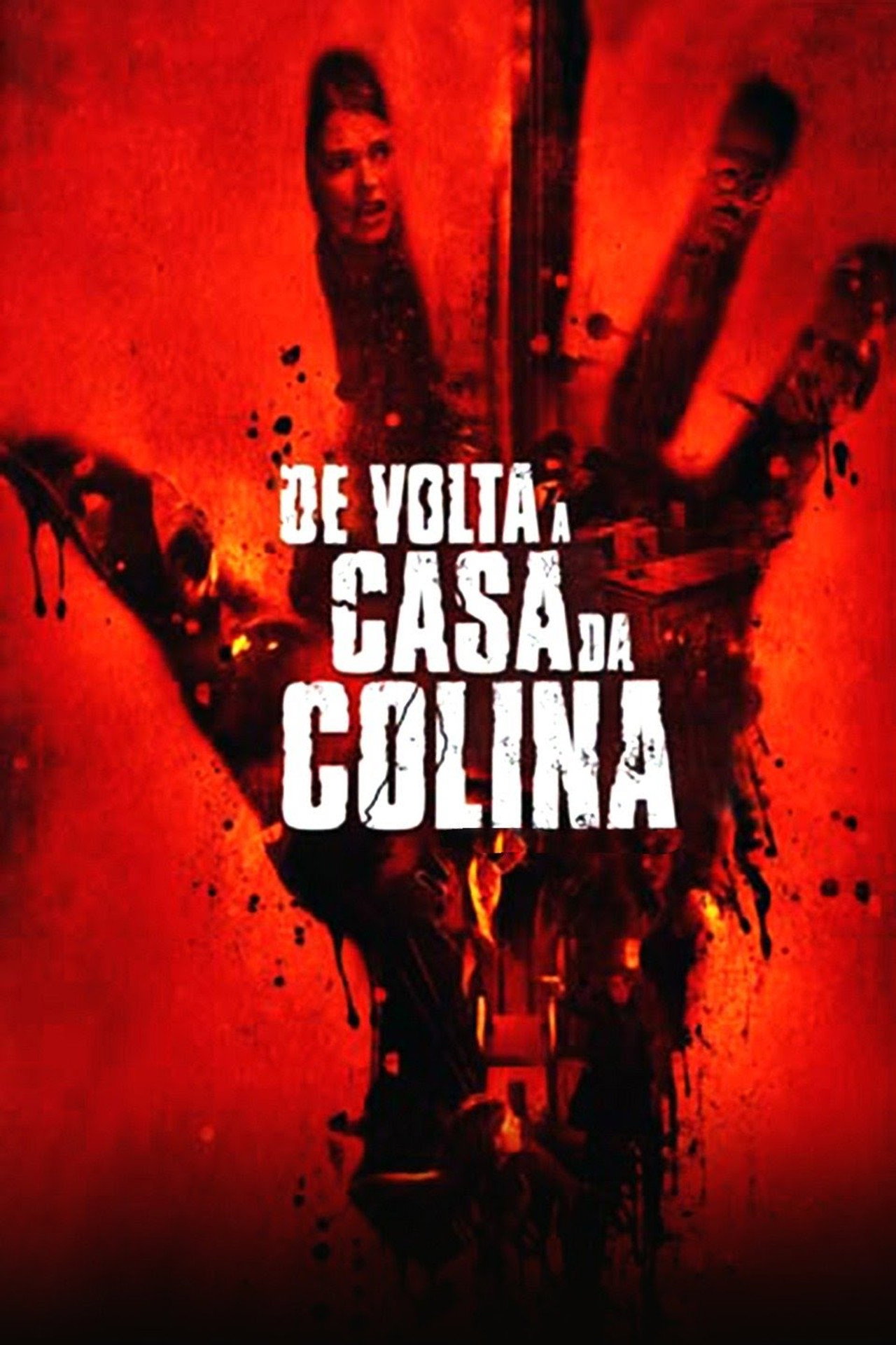 Pôster de De Volta à Casa da Colina