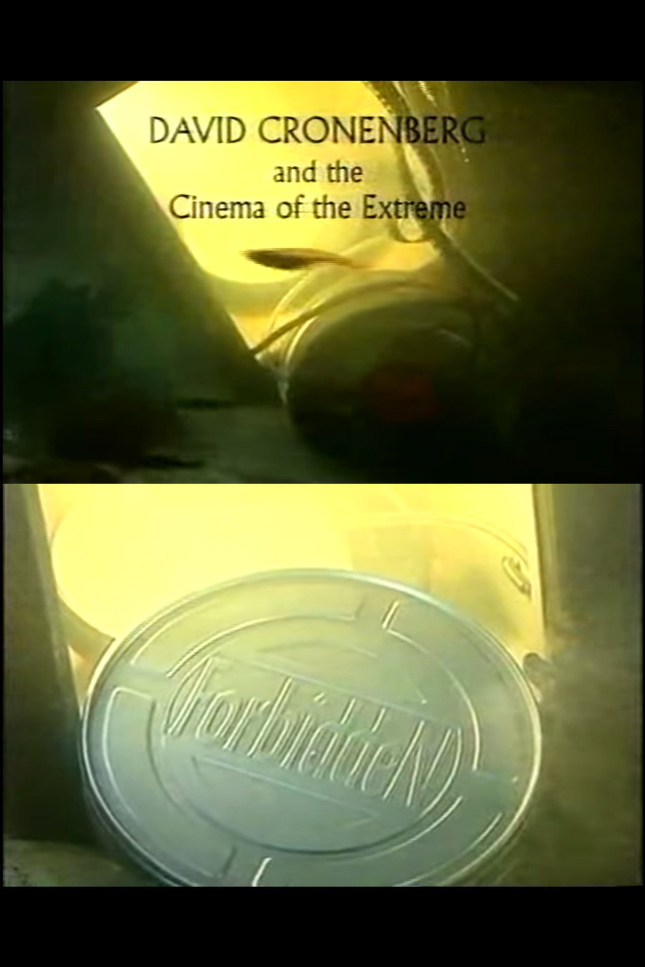 Pôster de David Cronenberg and the Cinema of the Extreme