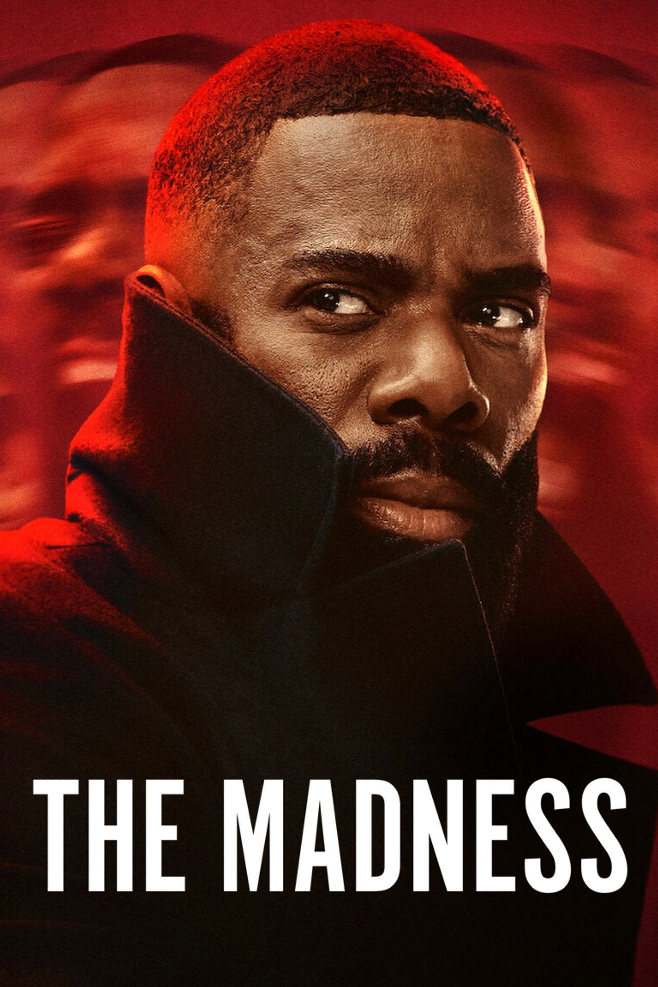 Pôster de The Madness