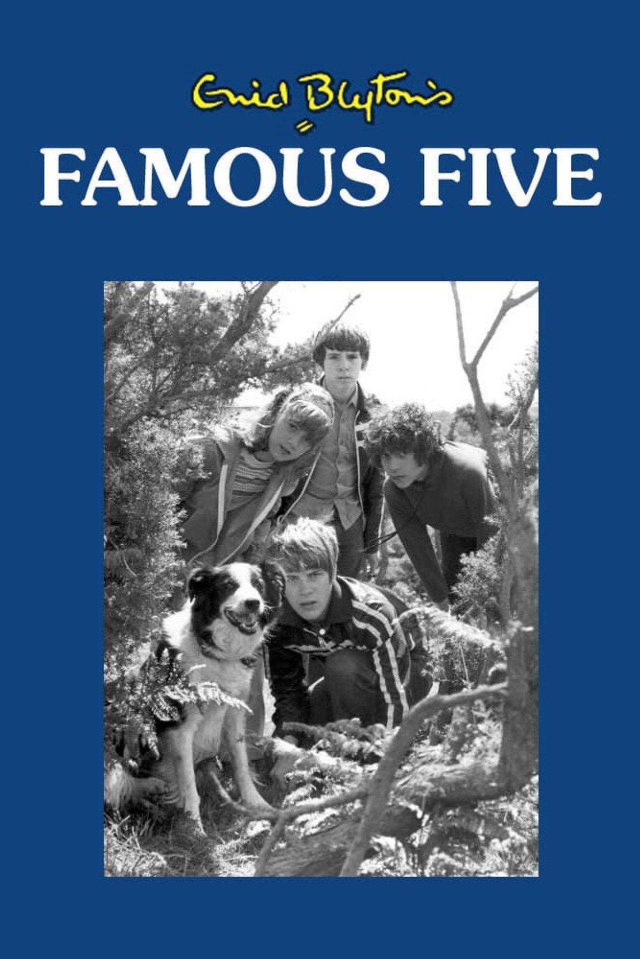 Pôster de The Famous Five