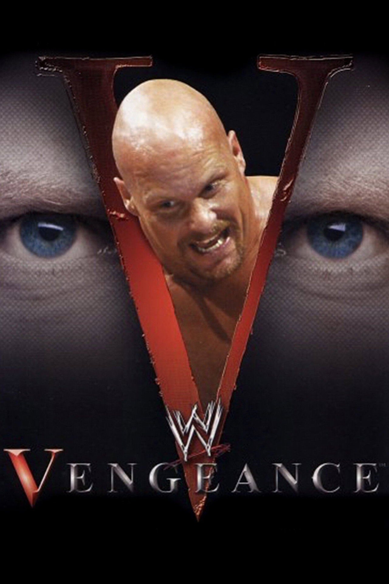Pôster de WWE Vengeance 2002
