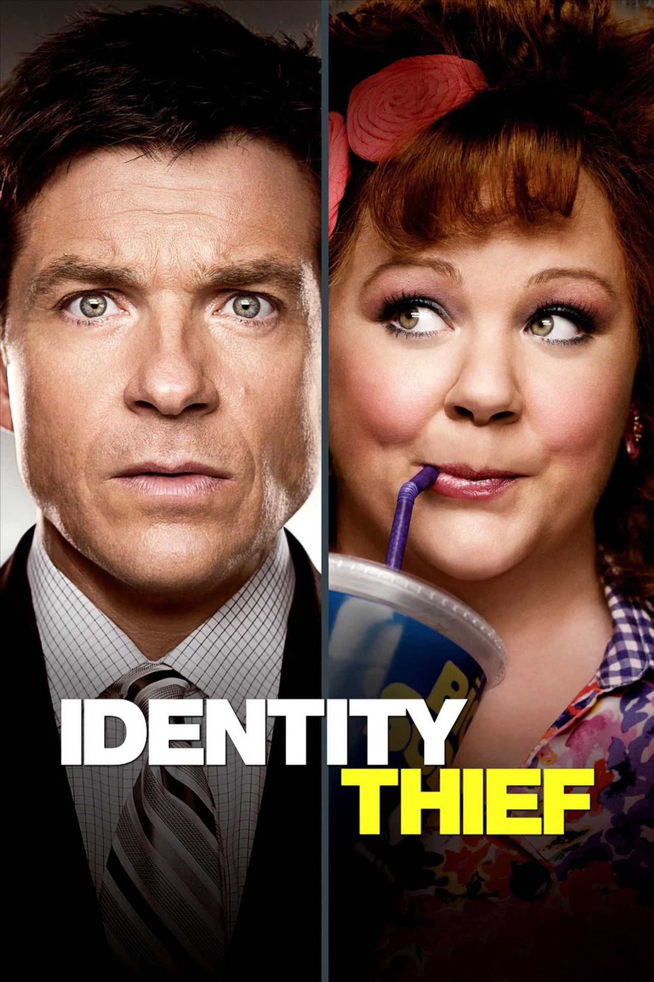 Pôster de Identity Thief