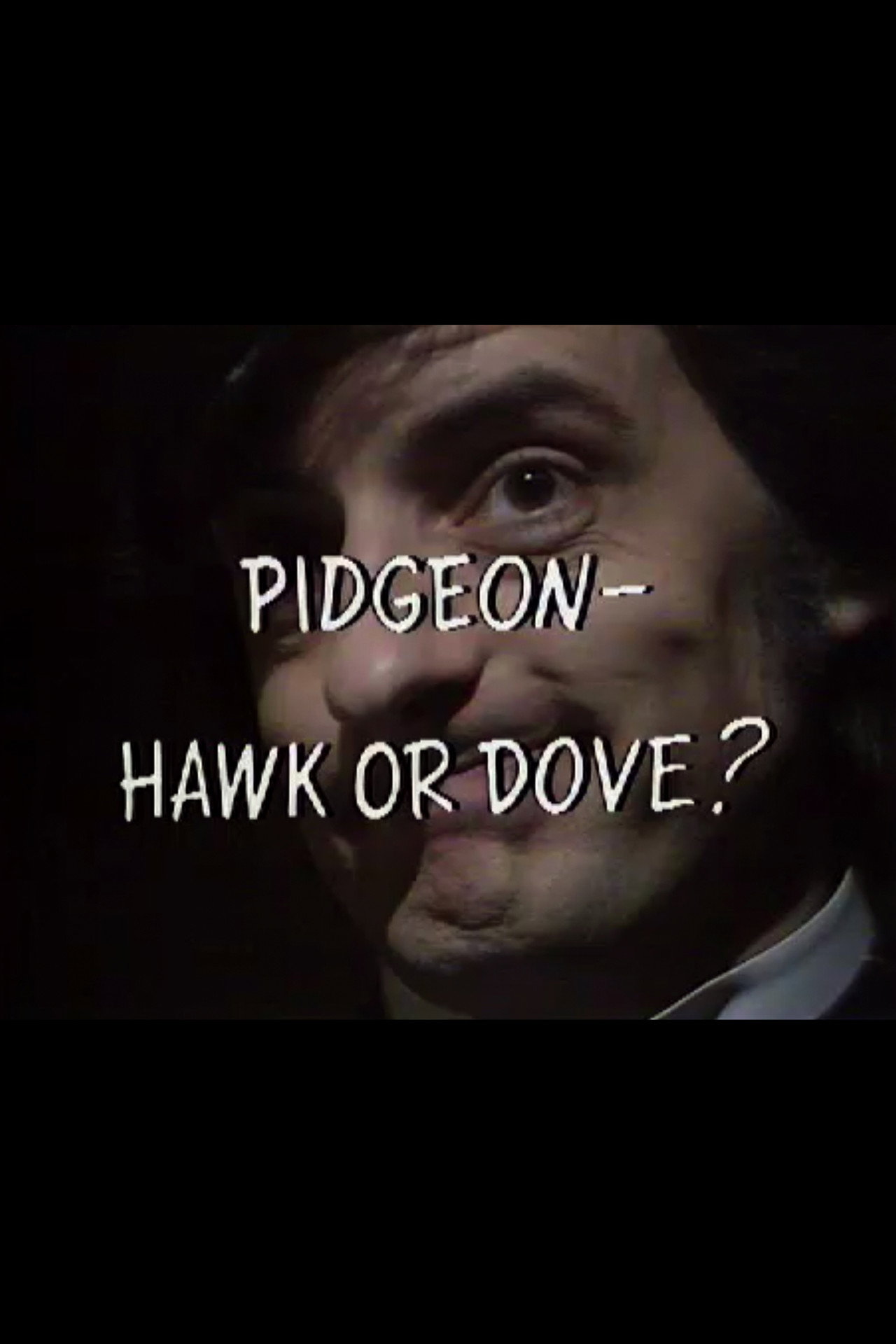 Pôster de Pidgeon – Hawk or Dove?